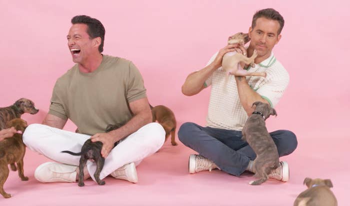 Hugh Jackman and Ryan Reynolds play with puppies while sitting on the floor