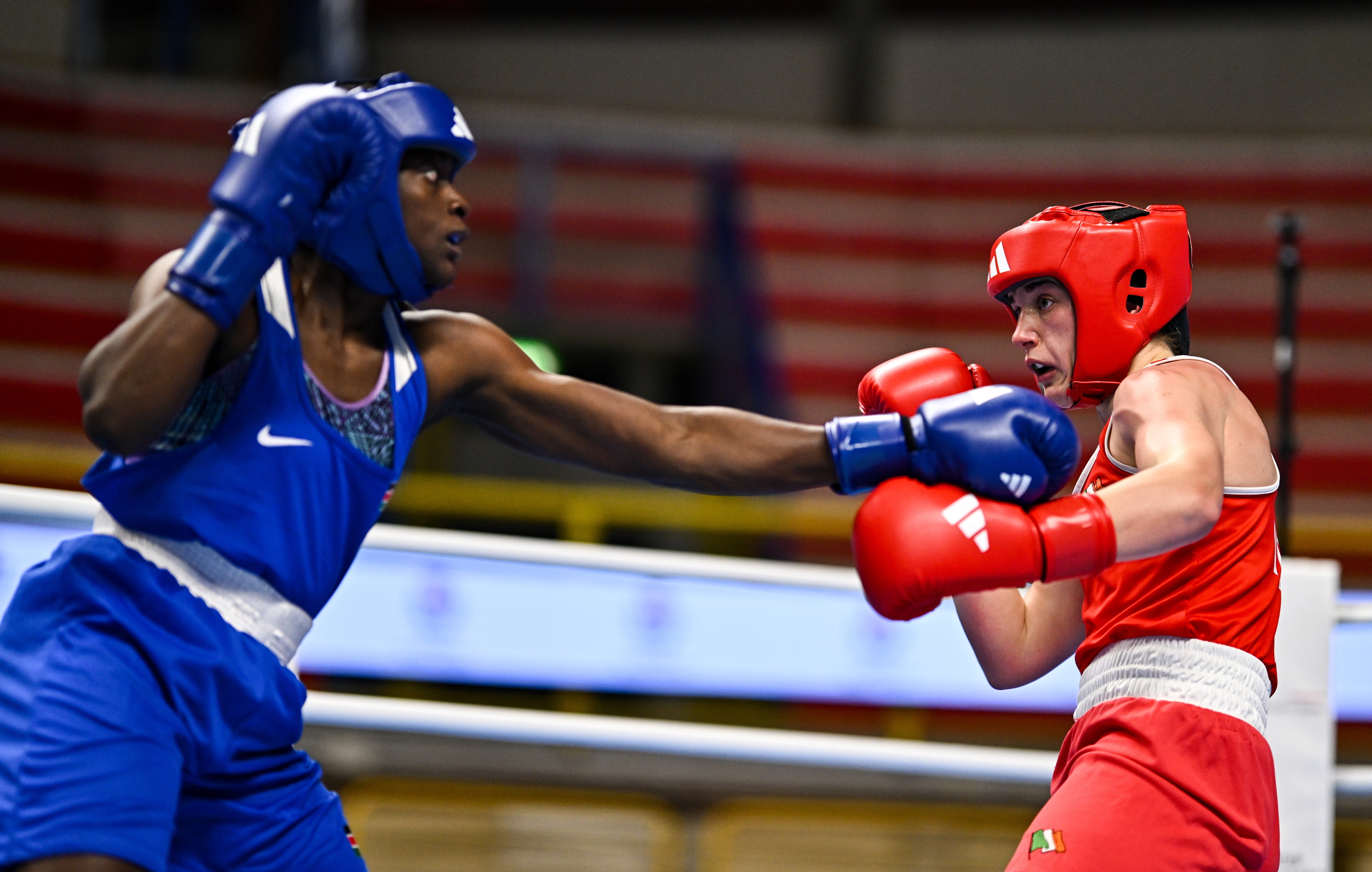 Two boxers, one in blue and one in red, compete in a boxing match wearing protective headgear and gloves