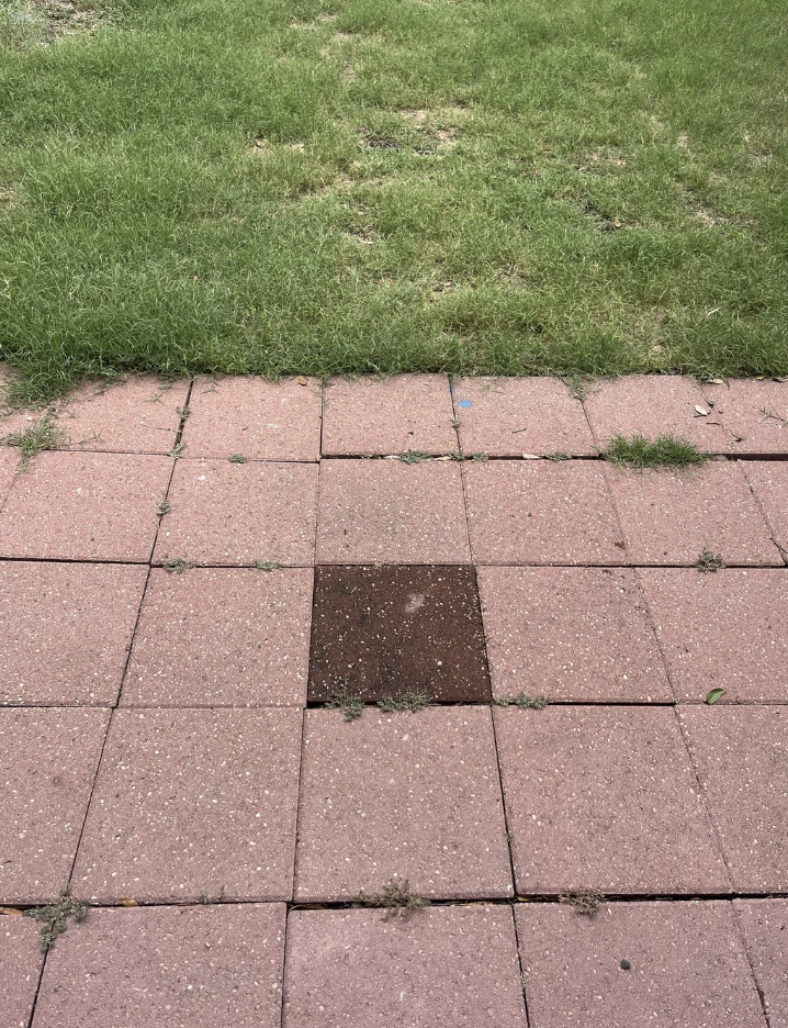 A paved outdoor area with one darker tile amidst lighter tiles, bordered by grass