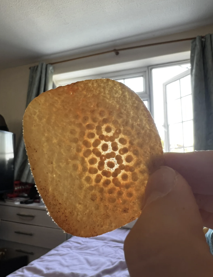 Hand holding a potato chip with a honeycomb pattern up to a window