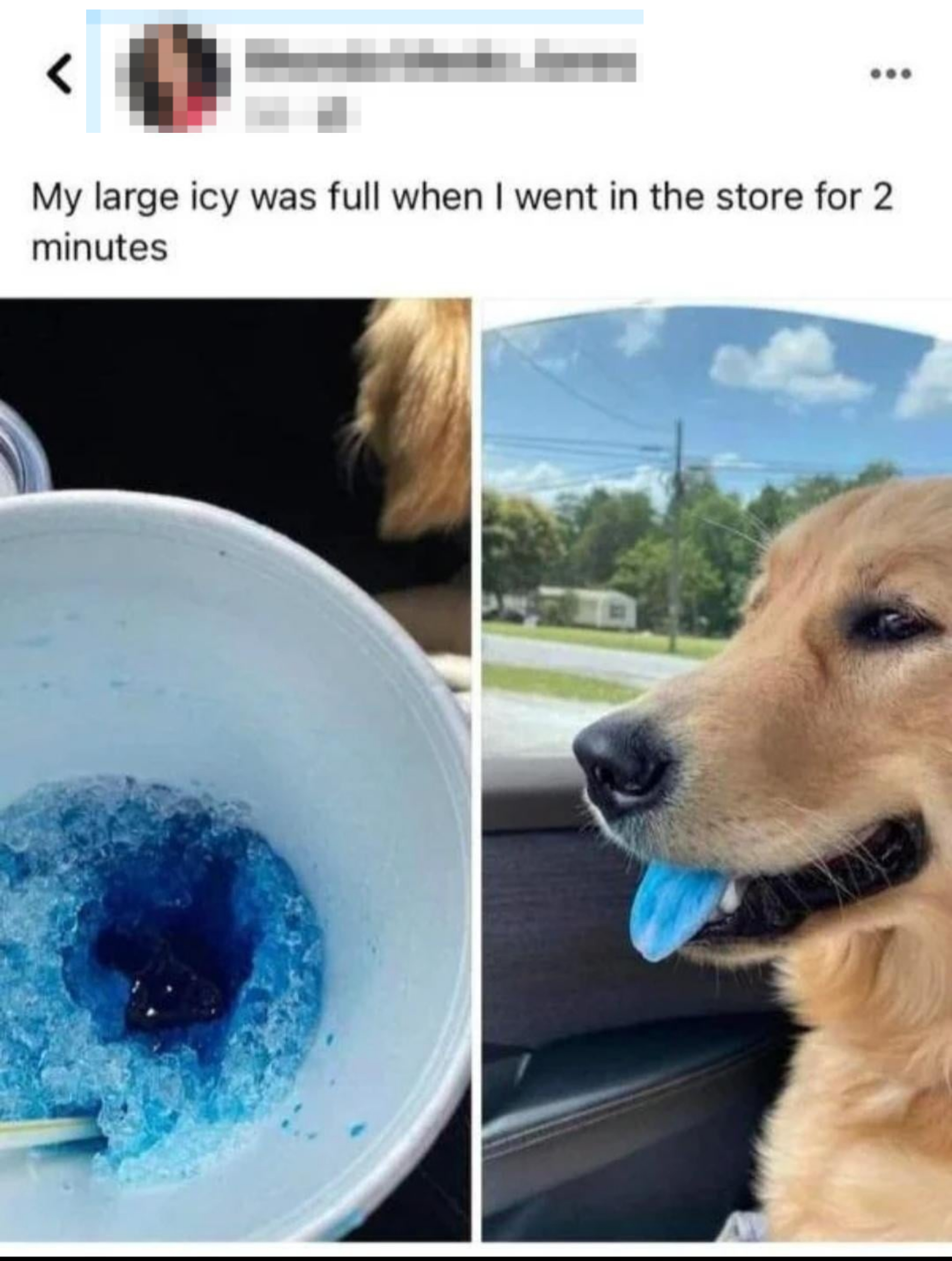 A social media post shows a large blue icy drink half-empty and a dog with a blue tongue, implying the dog drank it