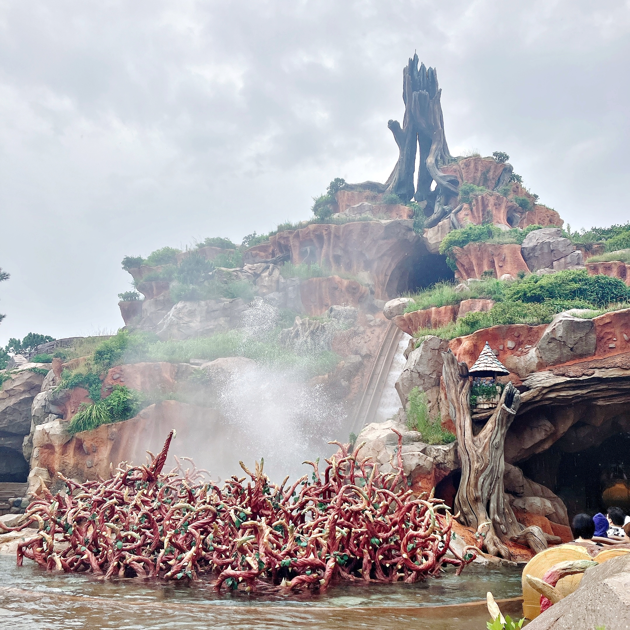 ディズニーランドの「夏限定パレード」水がかかりすぎてヤバい…！びっしょびしょに濡れて、笑いが止まらないんだけど！