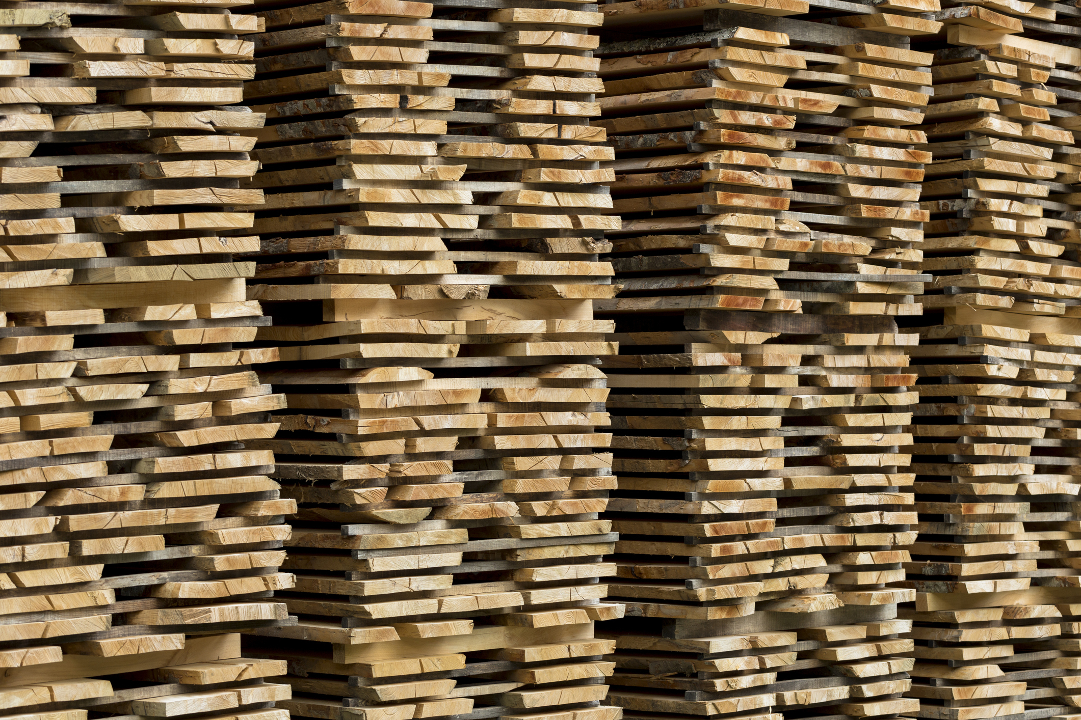 Stacks of evenly cut wooden planks arranged in rows