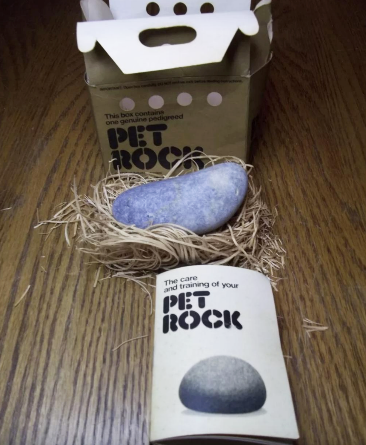 A Pet Rock in a nest of straw, with a cardboard box and an instruction booklet titled "The care and training of your Pet Rock"