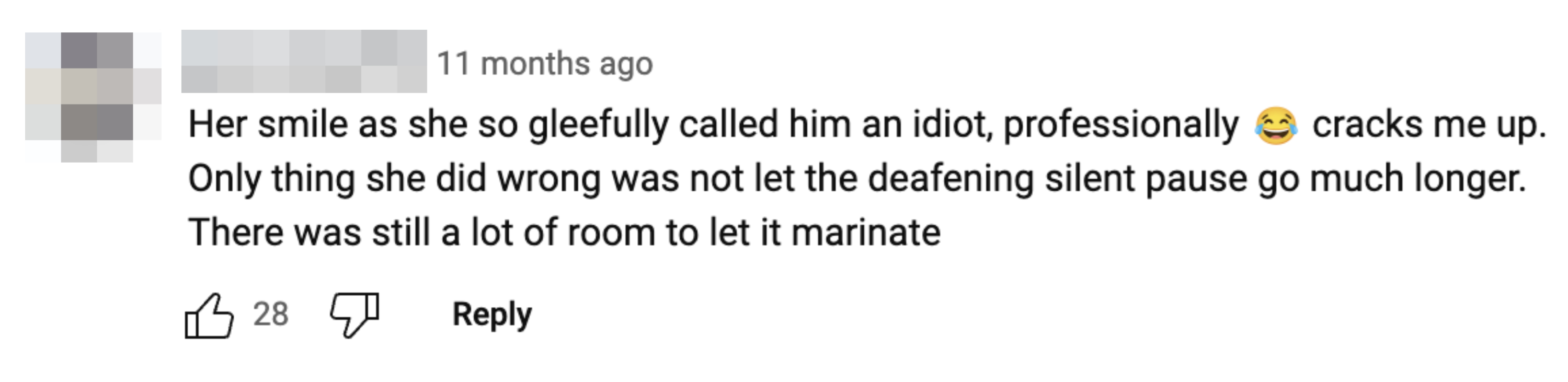 Another person commenter mentioned they found it funny when someone was called an idiot professionally, wishing the silence had lasted longer