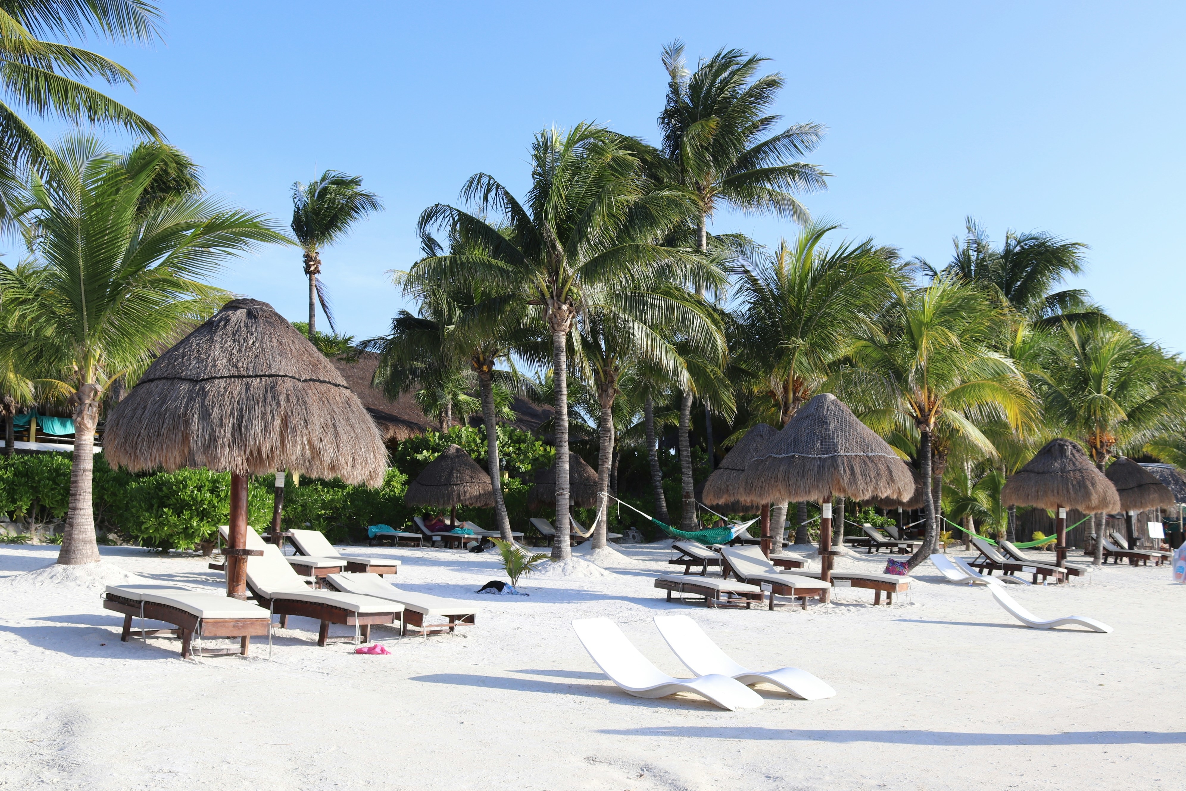 Beach resort with palm trees, thatched umbrellas, and lounge chairs on sand