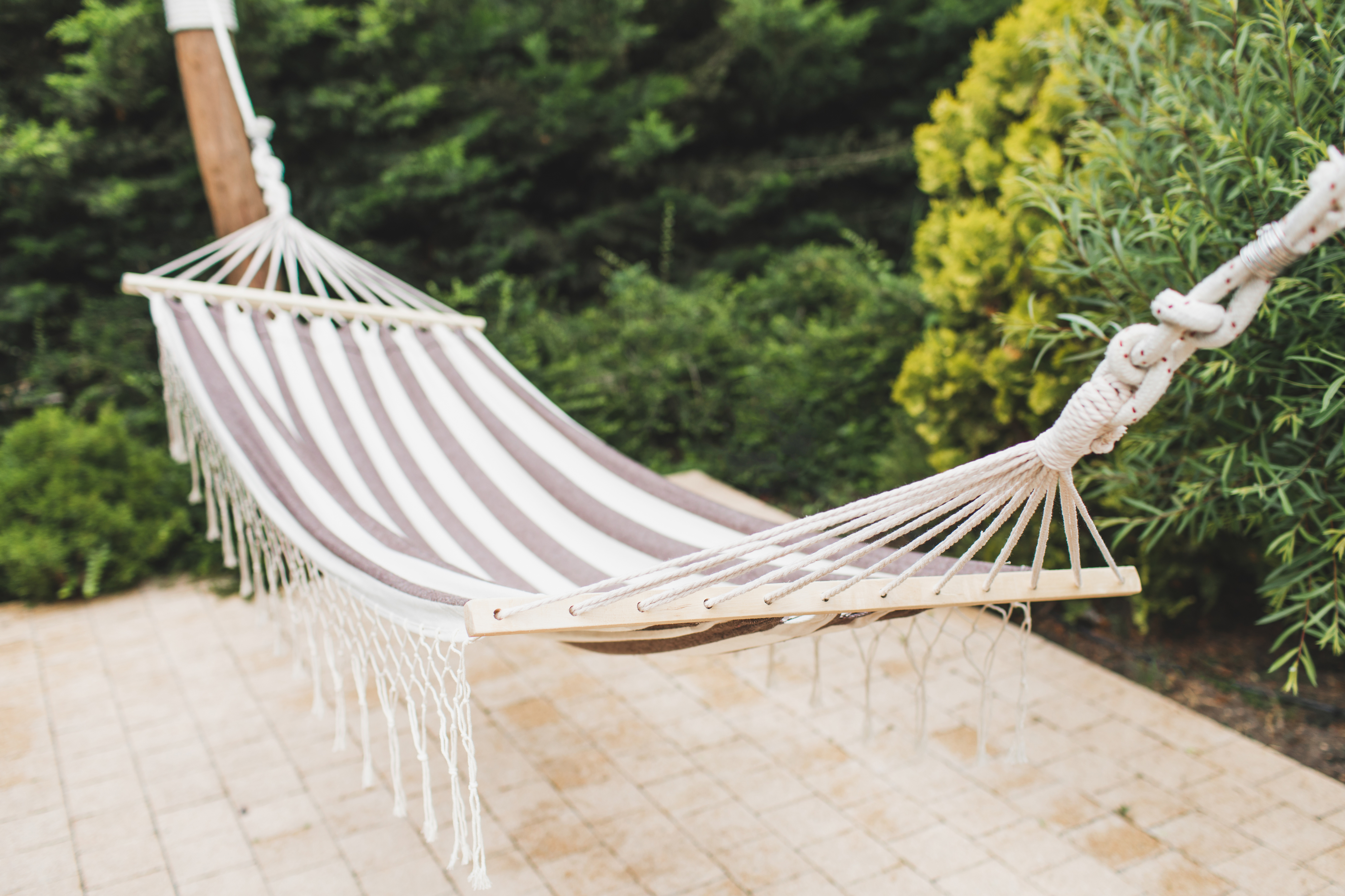 A striped hammock hanging in an outdoor, tree-filled area, ready for relaxation or romantic moments