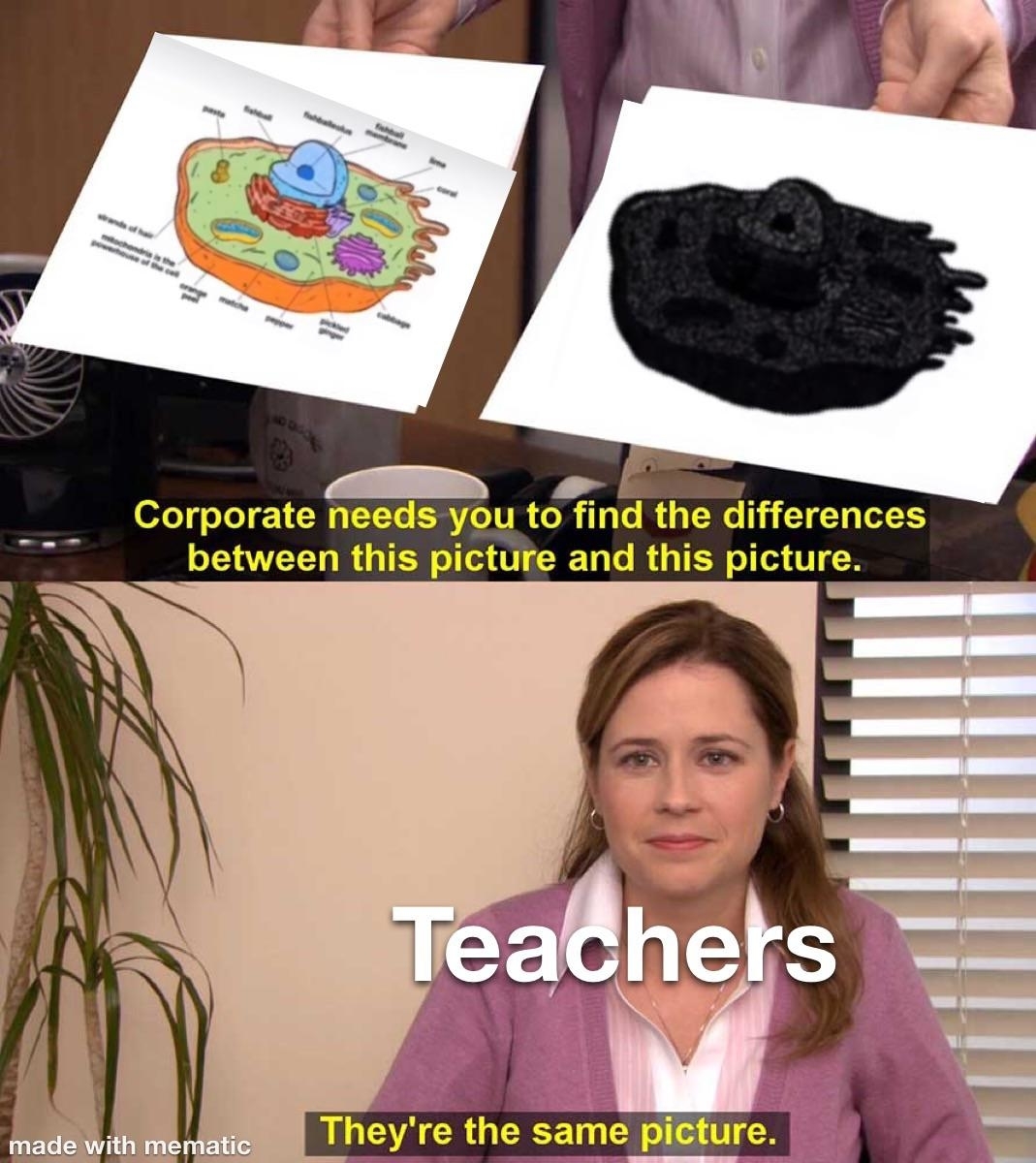 Visual meme from "The Office" featuring Pam Beesly (played by Jenna Fischer) holding two cell diagrams, with captions saying teachers find them identical