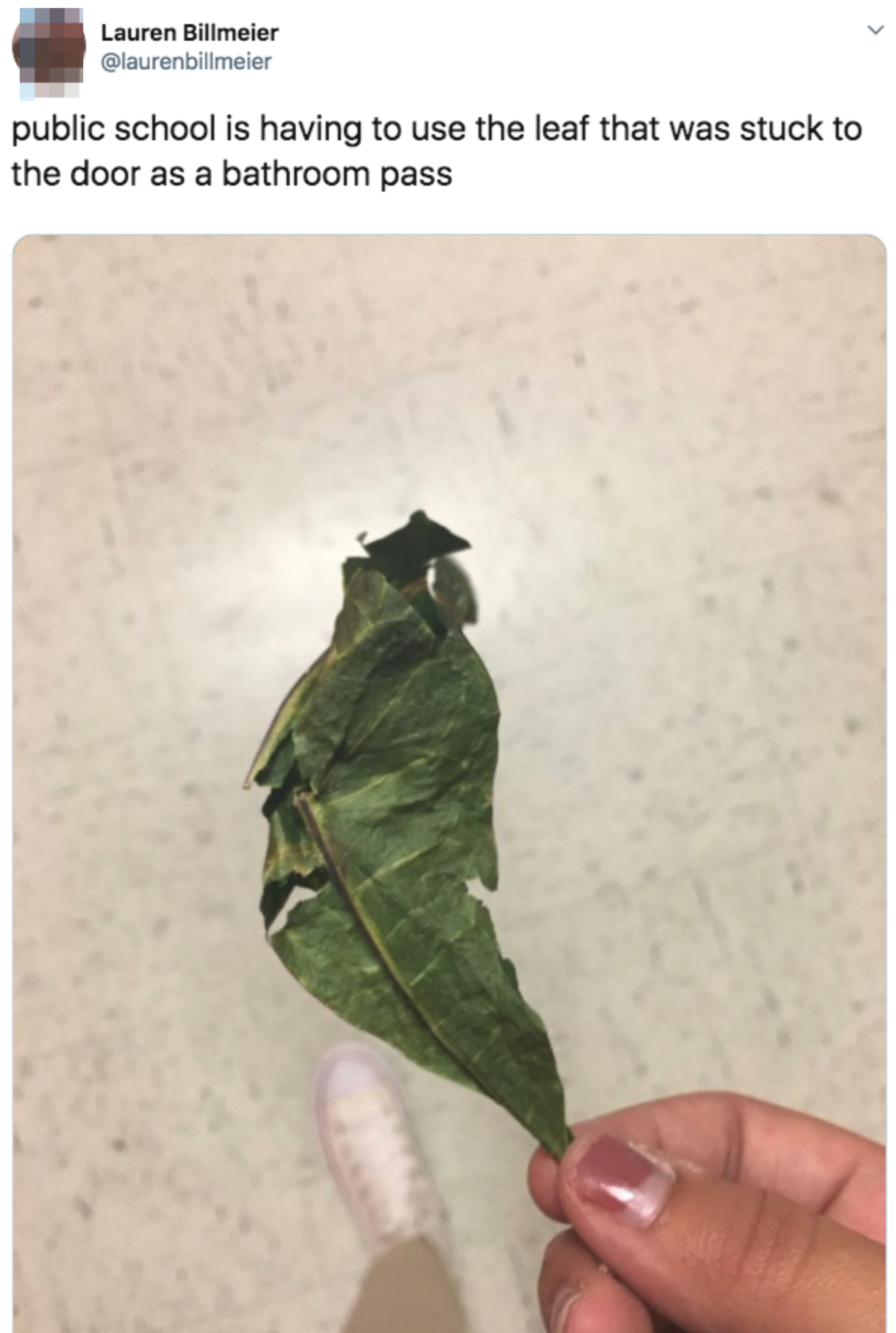 A hand holds a wilted leaf being used as a bathroom pass in a public school. Text above reads, "public school is having to use the leaf that was stuck to the door as a bathroom pass."
