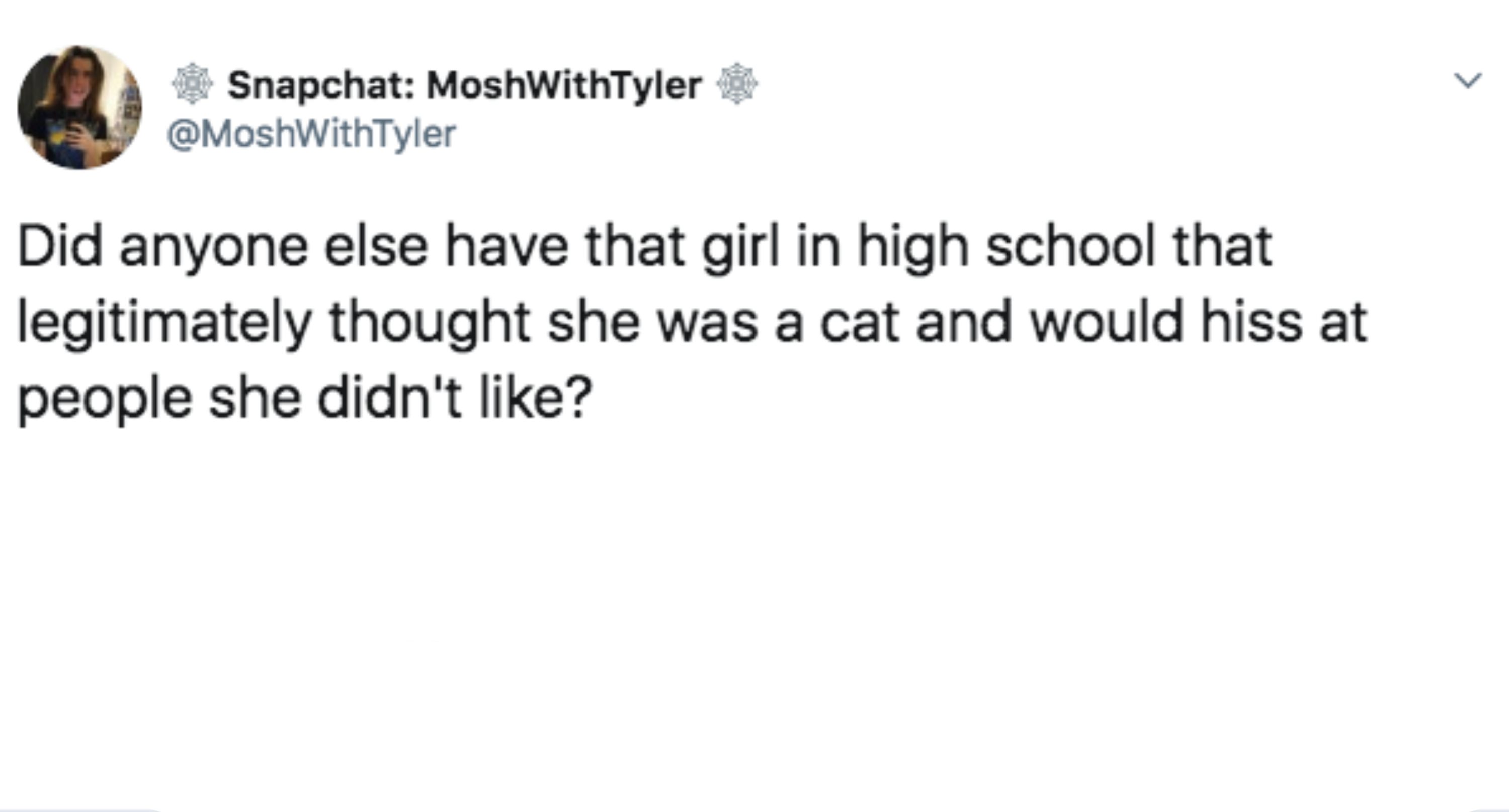 Tweet from @MoshWithTyler asking if others knew a girl in high school who thought she was a cat and hissed at people. 25.1K retweets, 183.6K likes