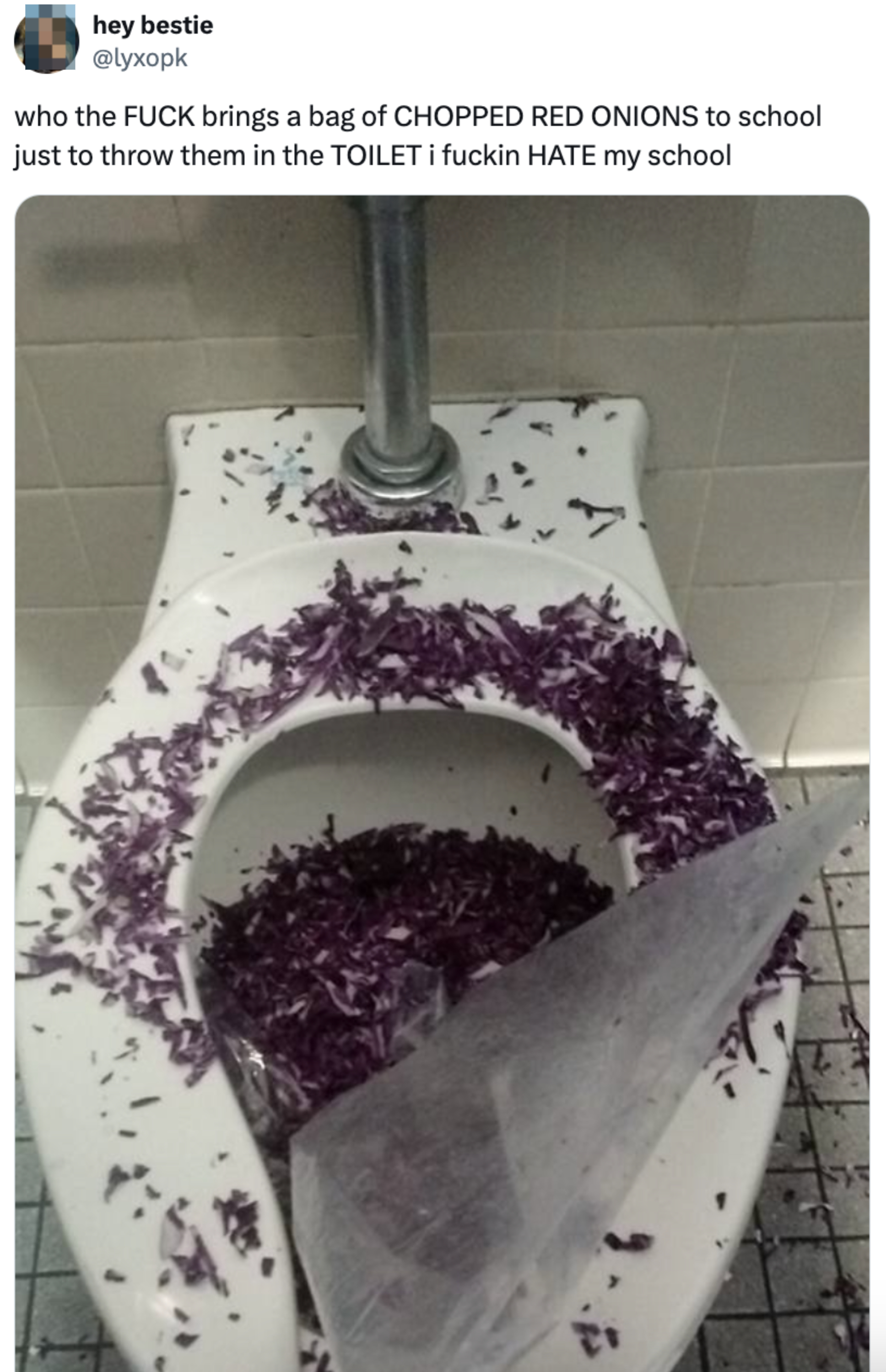 A messy toilet bowl filled with a large quantity of chopped red onions spilled inside and around it. The tweet above reads: "who the FUCK brings a bag of CHOPPED RED ONIONS to school just to throw them in the TOILET I fuckin HATE my school."