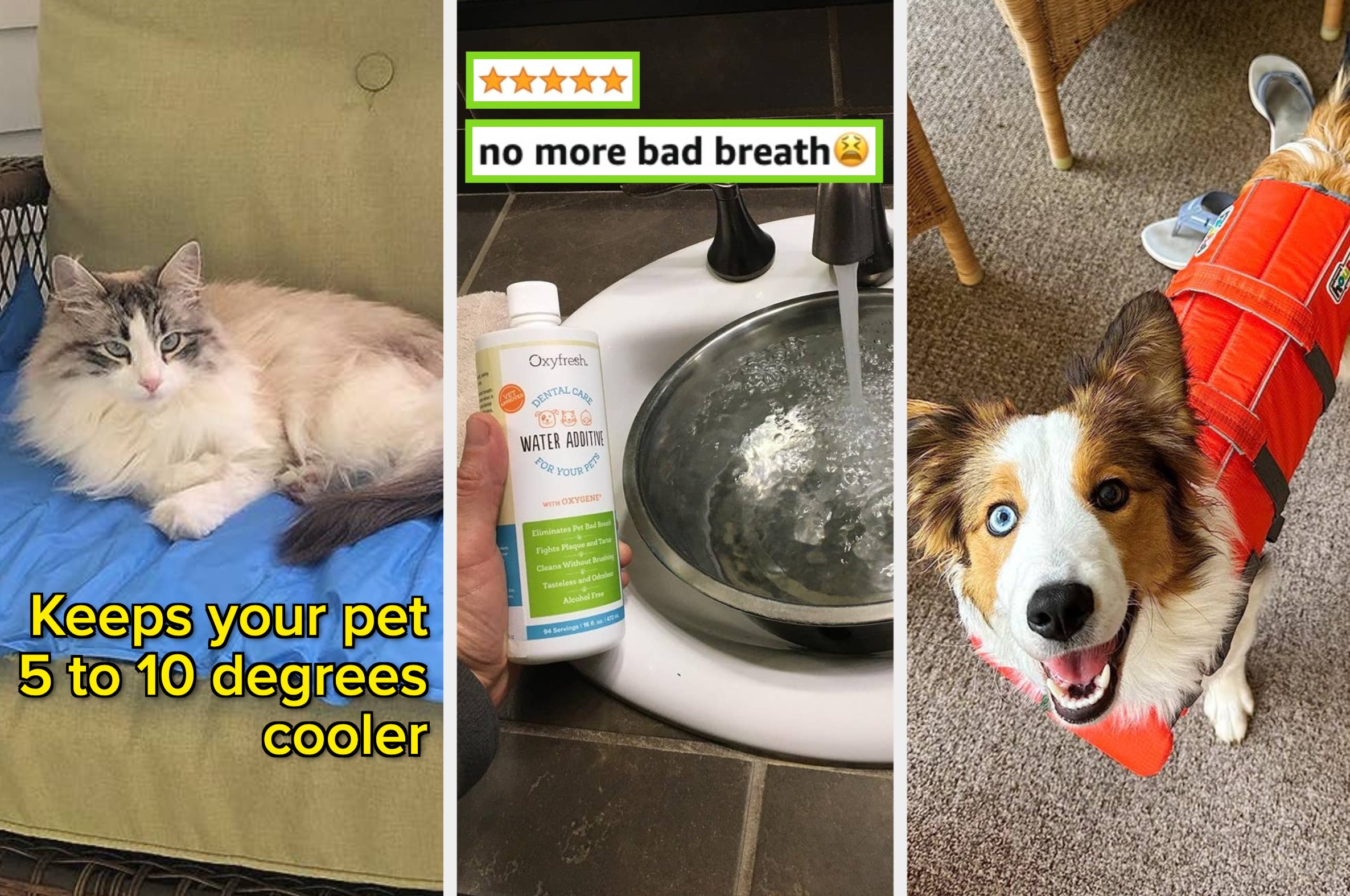 32 Pet Products That Reviewers Say Are “Lifesavers”