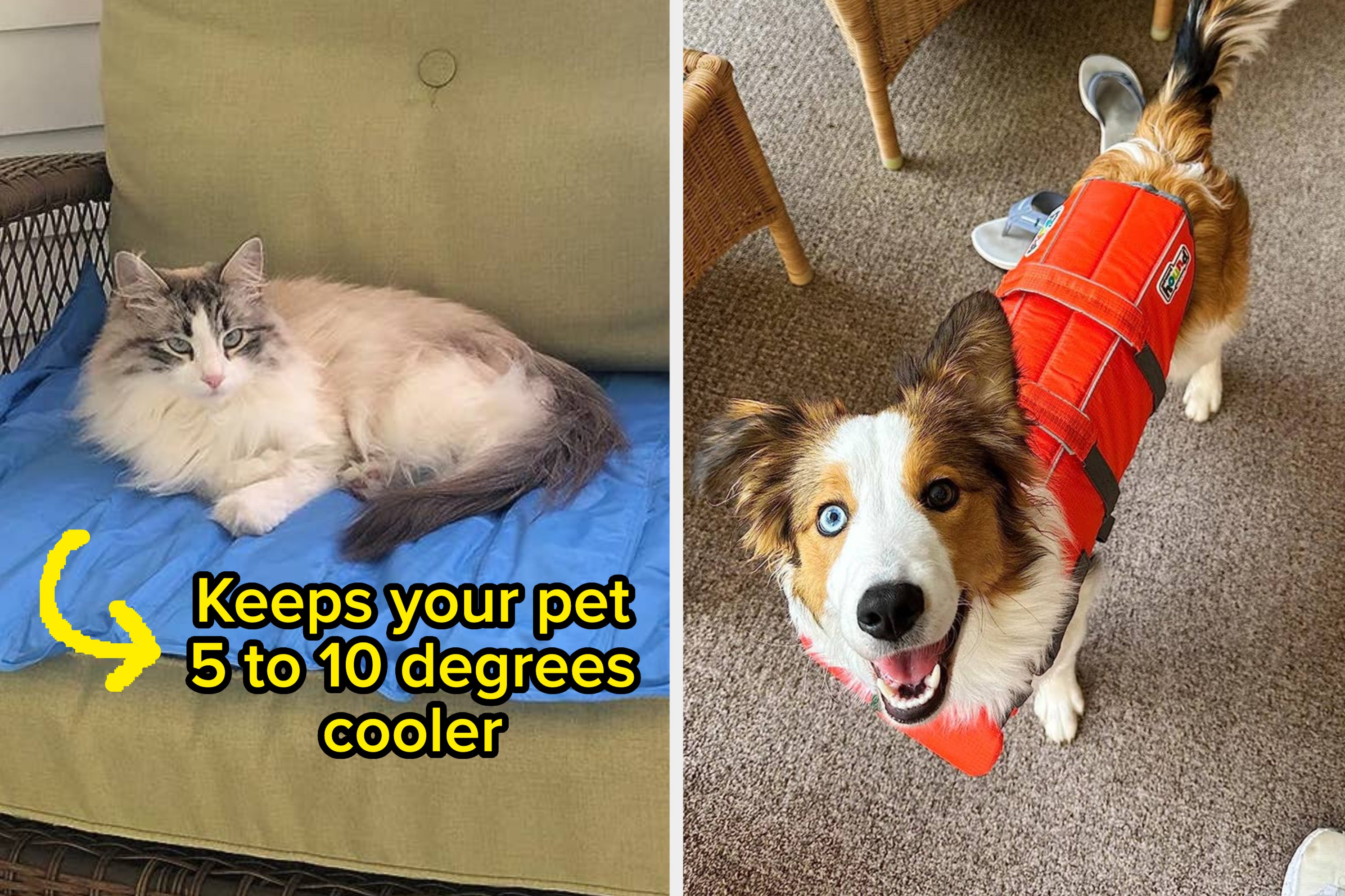 32 Pet Products That Reviewers Say Are 