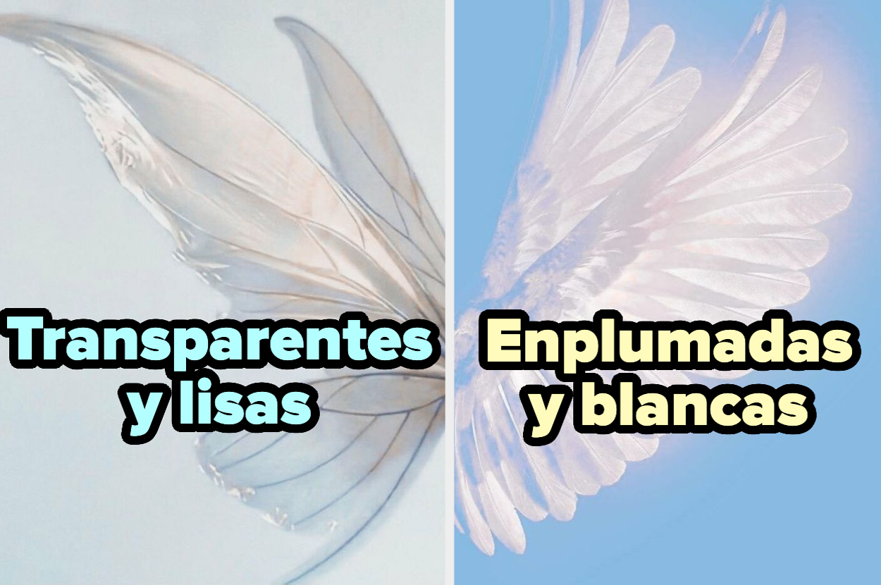 Imagen dividida en dos partes: a la izquierda, alas transparentes y lisas; a la derecha, alas emplumadas y blancas. Texto: "Transparentes y lisas" y "Emplumadas y blancas"