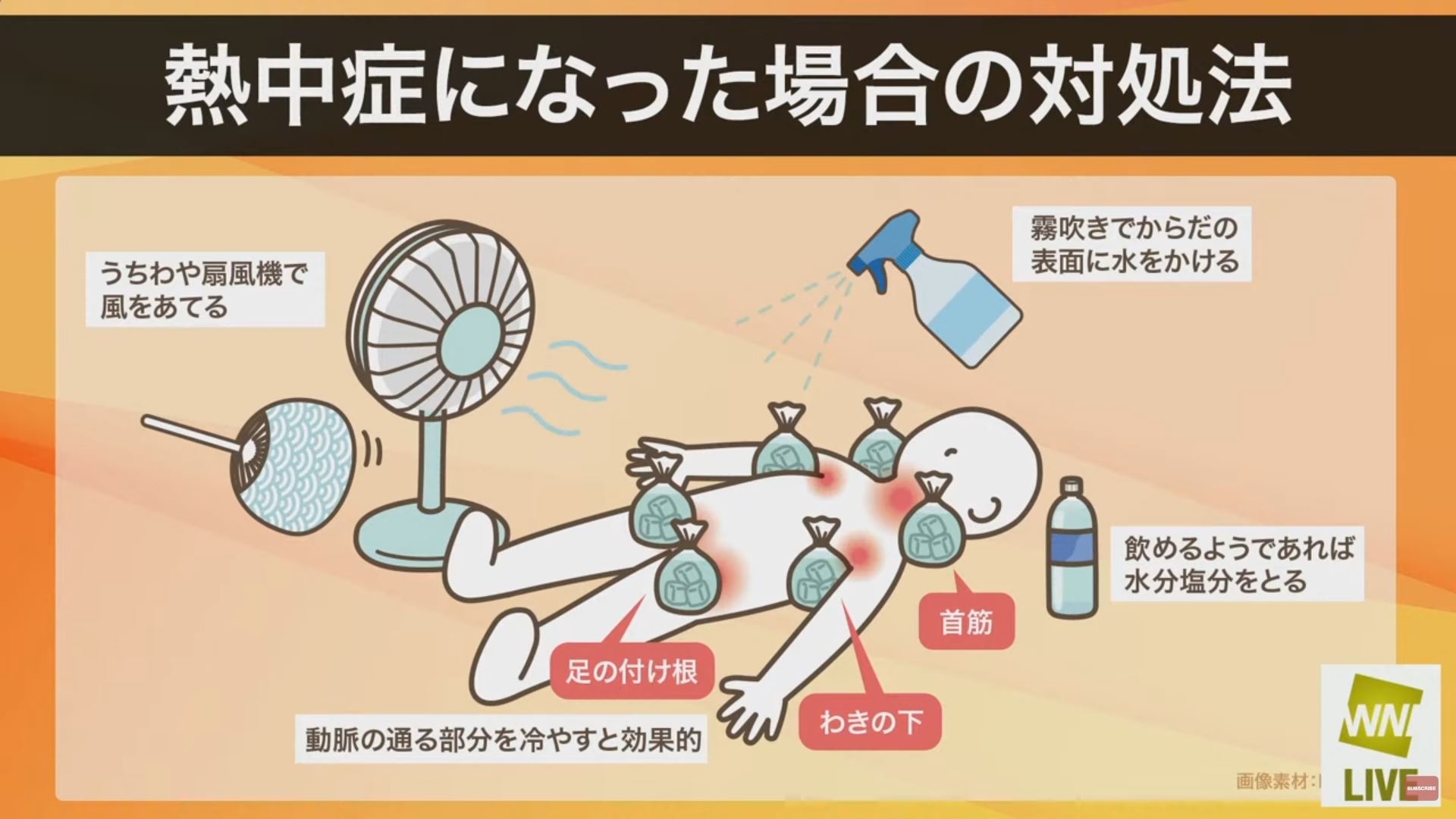 ウェザーニュースLiVE番組より