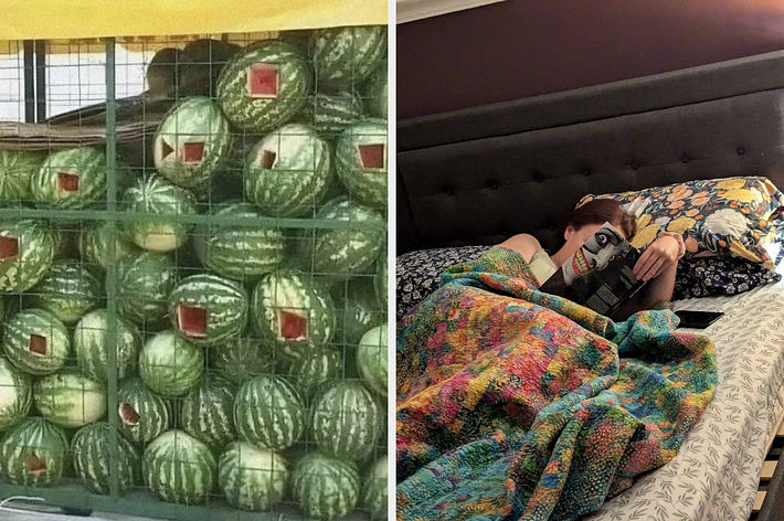 A group of ducks is walking with a caption, “I’ll have what he’s having.” Next to it is a doormat with the text “Wipe your paws” and paw prints