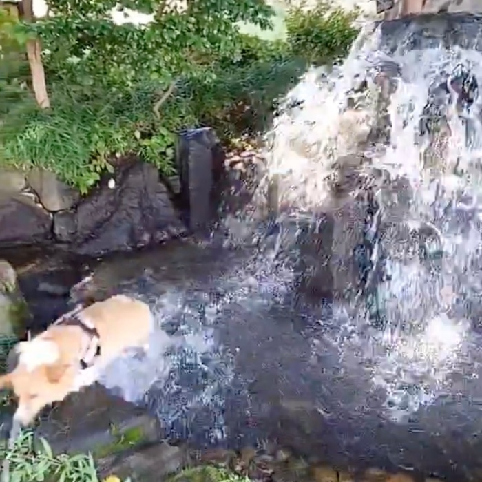 外へ逃げ出す紬ちゃん