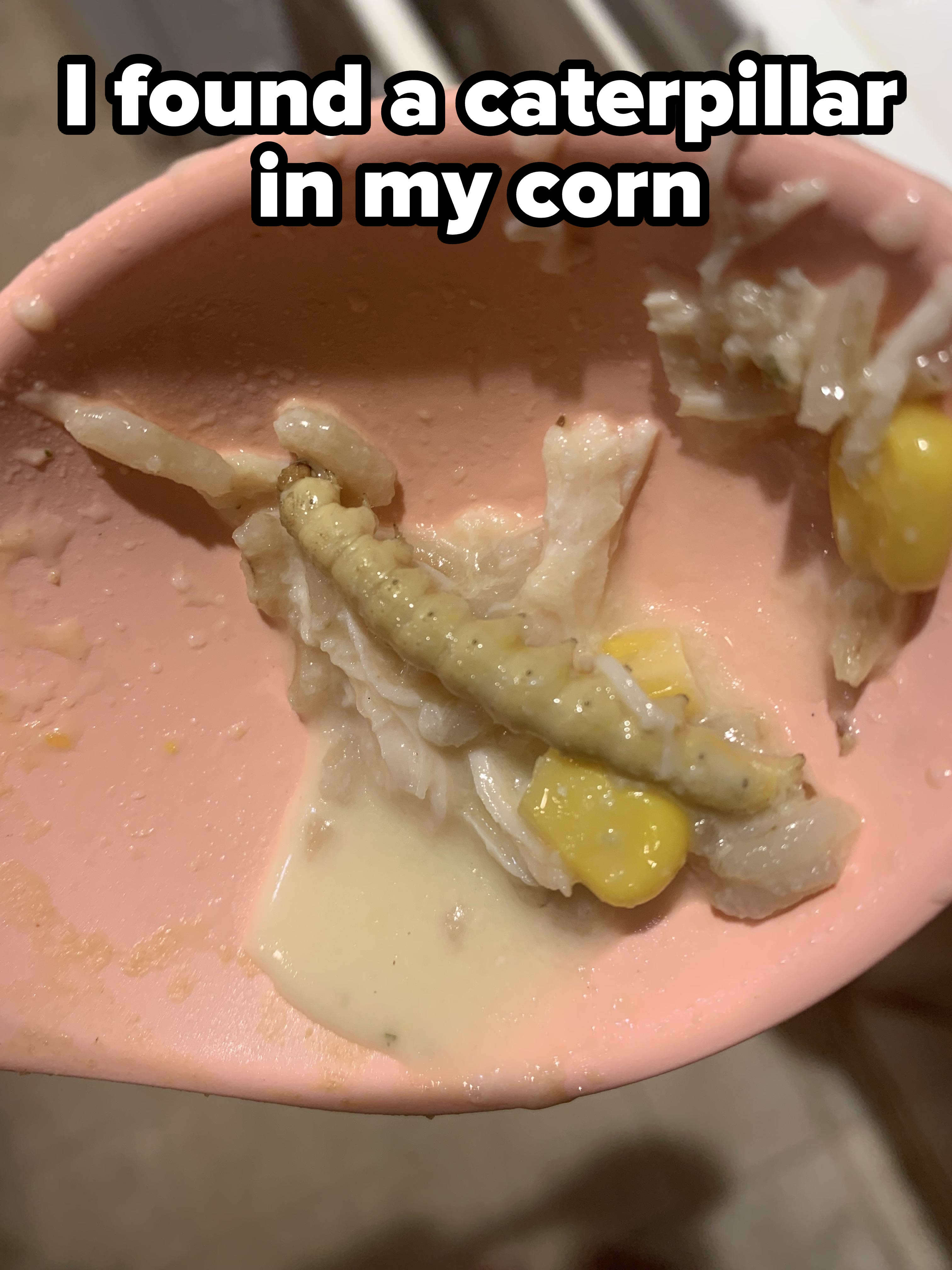 A pink spoon with chicken, corn, and a caterpillar-like worm in a creamy sauce