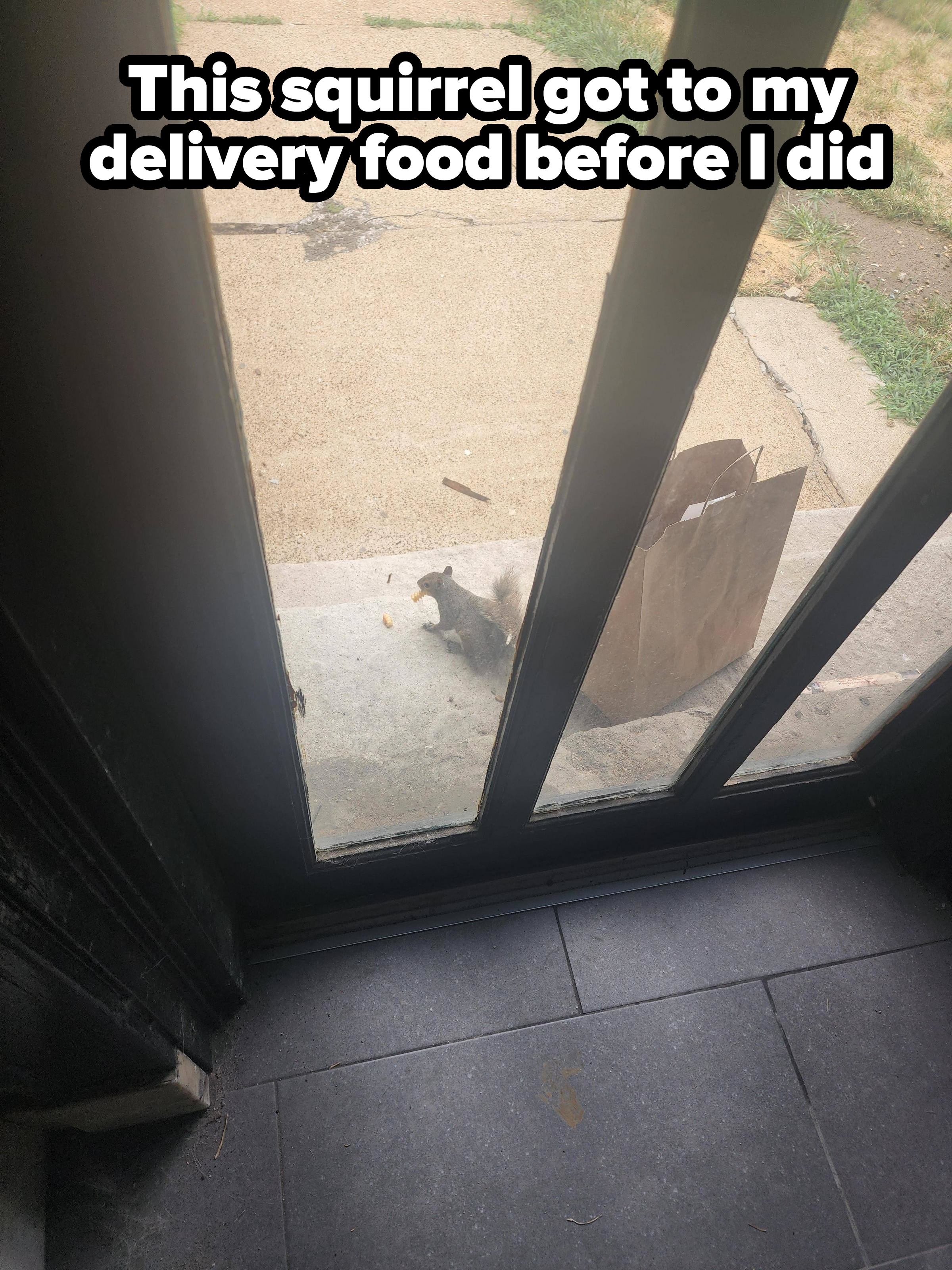 A squirrel is outside on a step near a glass door, next to a paper bag