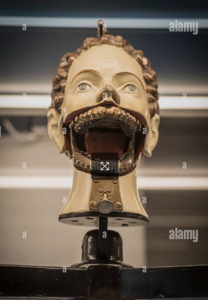 A vintage dental mannequin head with an open mouth, featuring exposed teeth and a mechanical jaw mechanism. Image courtesy of Alamy