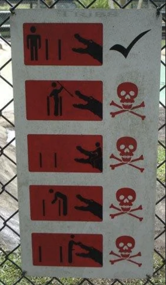 Sign with five pictograms showing correct and incorrect actions. Proper feeding method has a check mark. Four other methods, with skull and crossbones, indicate danger