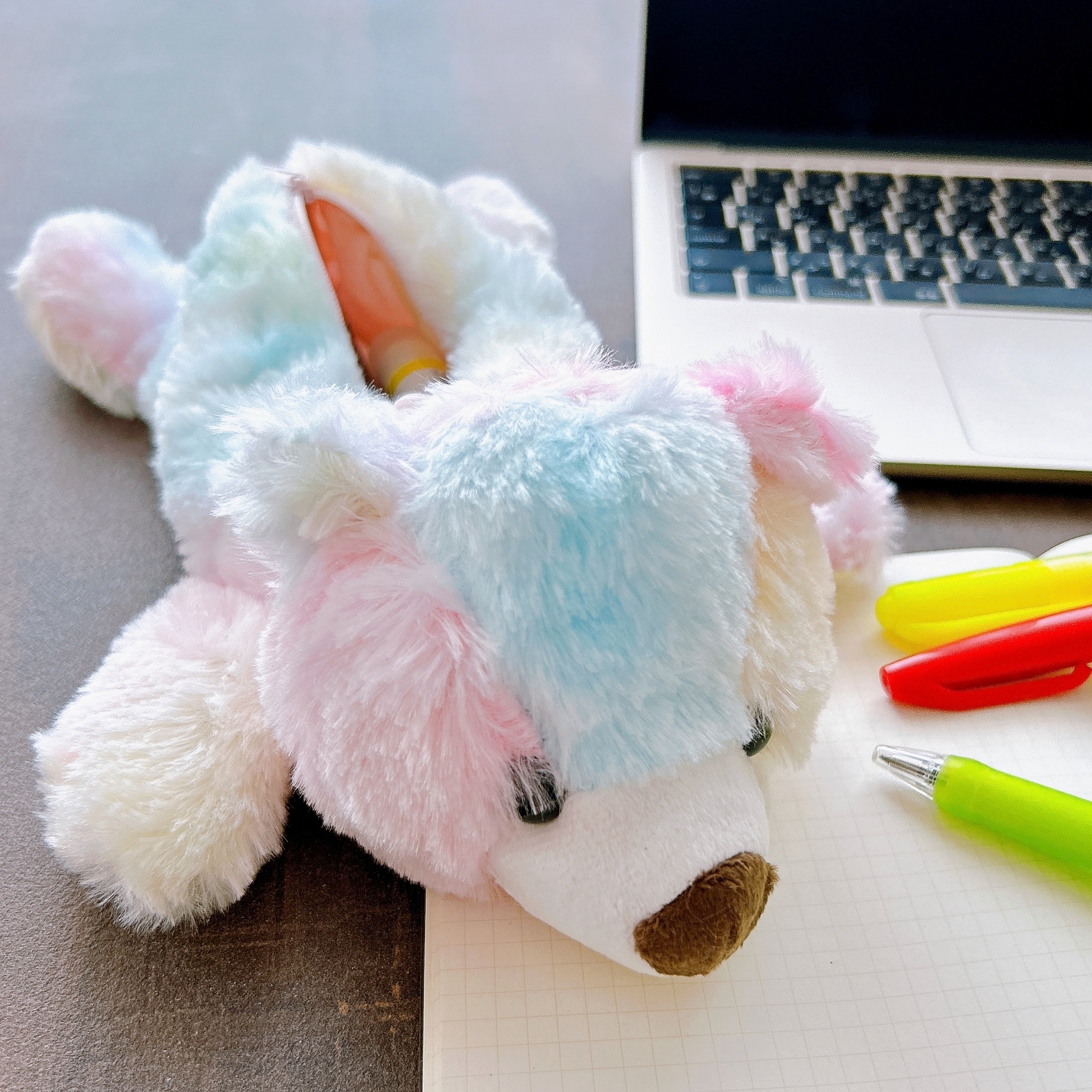 DAISO(ダイソー)のおすすめ文房具「ペンケース(クマ)」