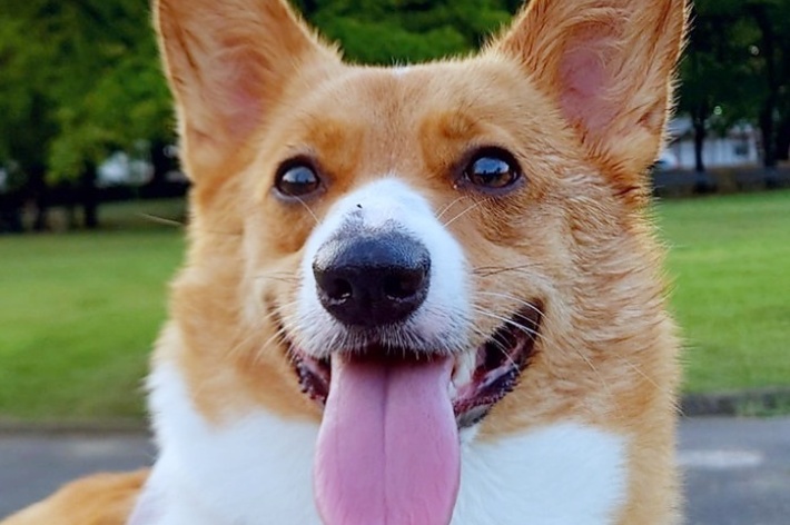 散歩中、笑みを浮かべる紬ちゃん