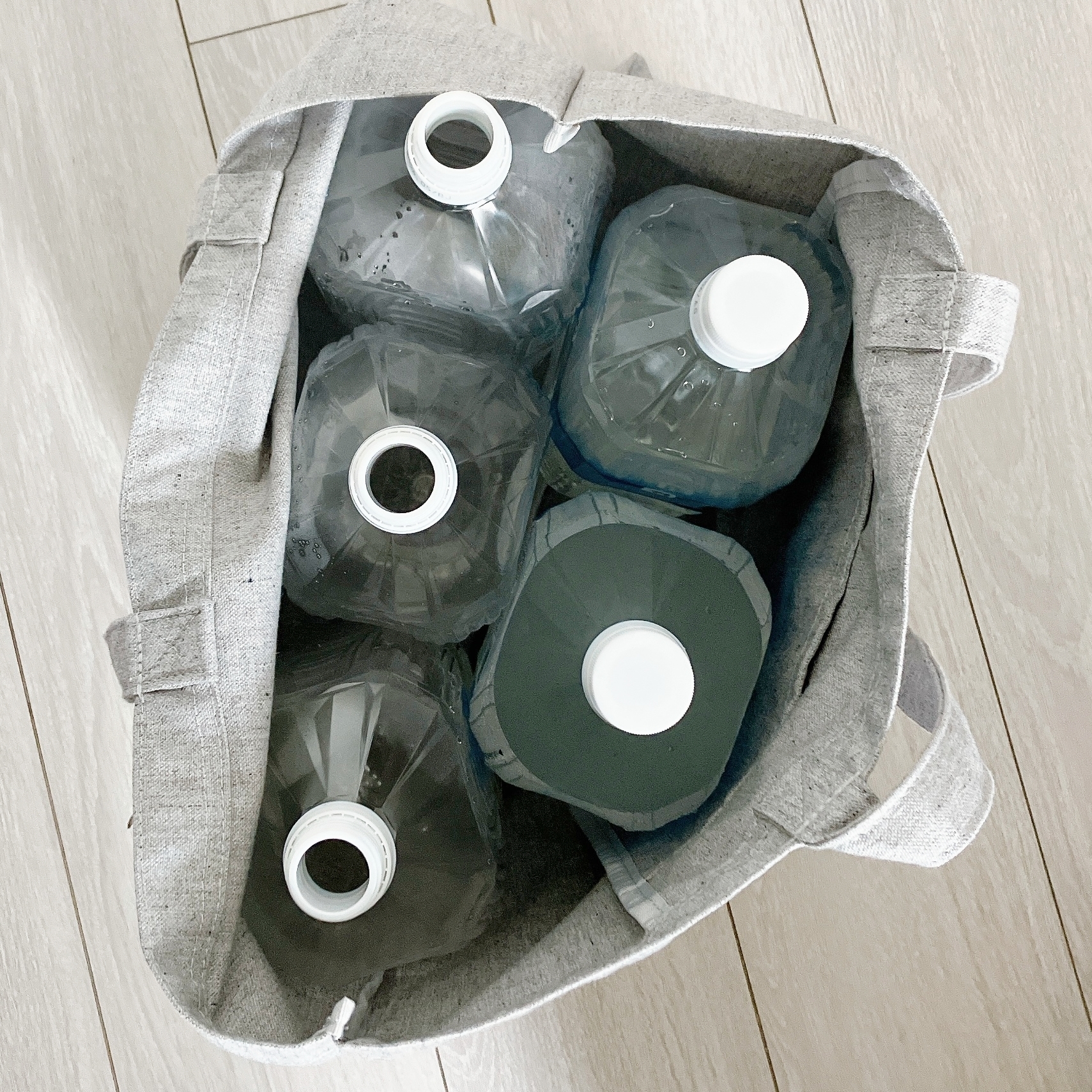 ディズニーランドのおすすめバッグ「トートバッグ 東京ディズニーリゾート」