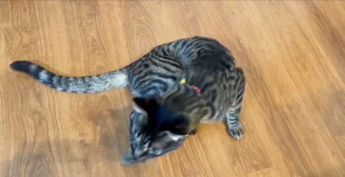 立ち去るるなくん