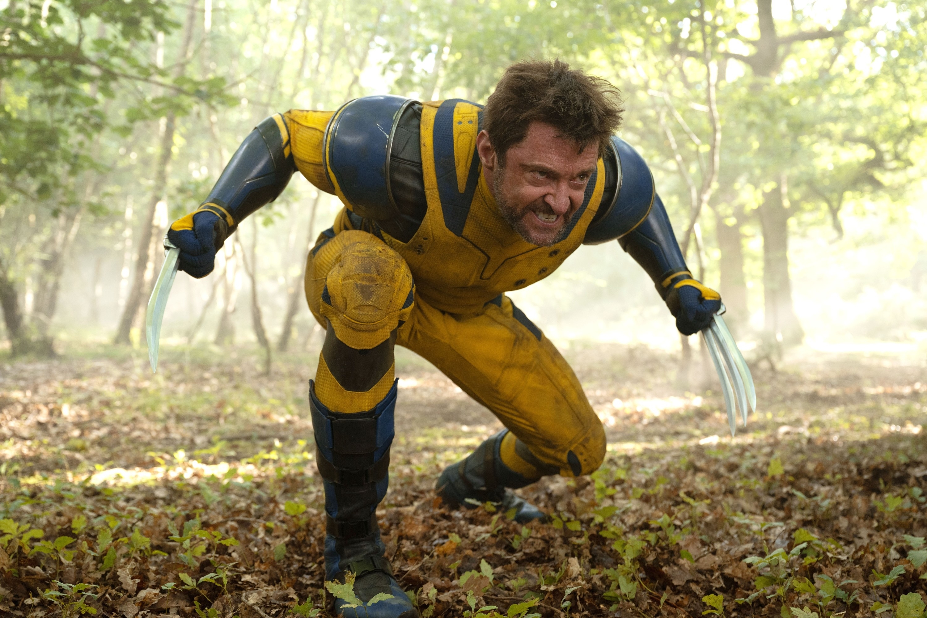 Hugh Jackman crouches down as Wolverine in a forest scene from &quot;Deadpool &amp;amp; Wolverine&quot;