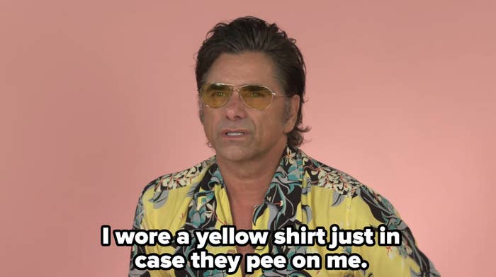 John Stamos wears a patterned, open-collar shirt and tinted aviator glasses against a plain backdrop. He says, &quot;I wore a yellow shirt just in case they pee on me&quot;