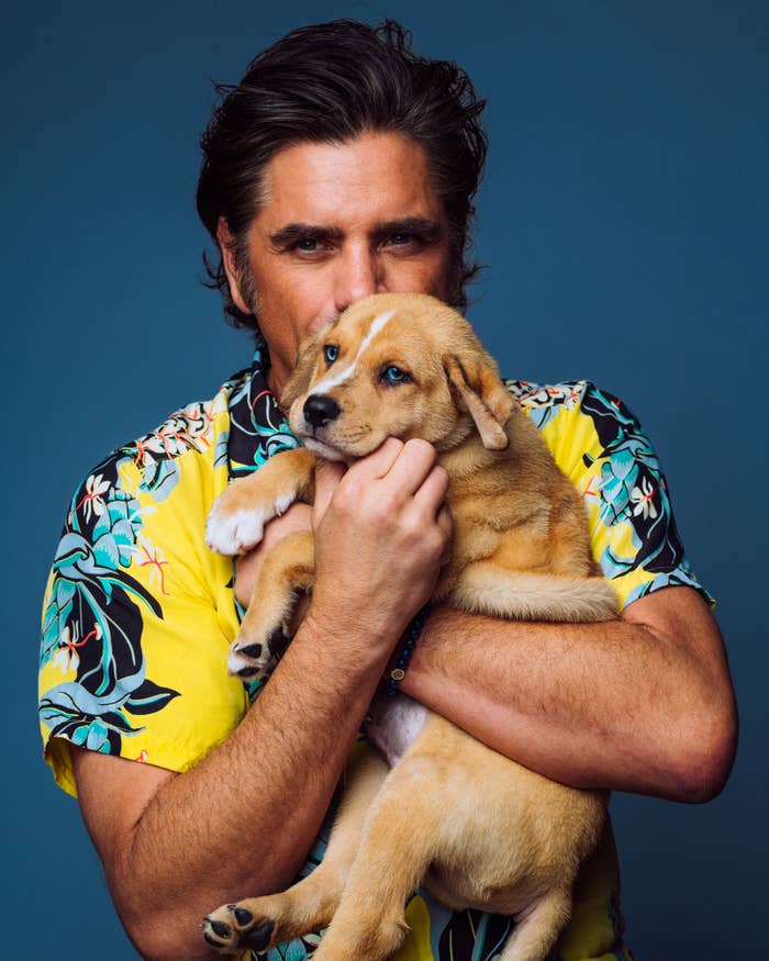 John Stamos with wavy hair, wearing a floral shirt, holds puppy close to his face against a plain background