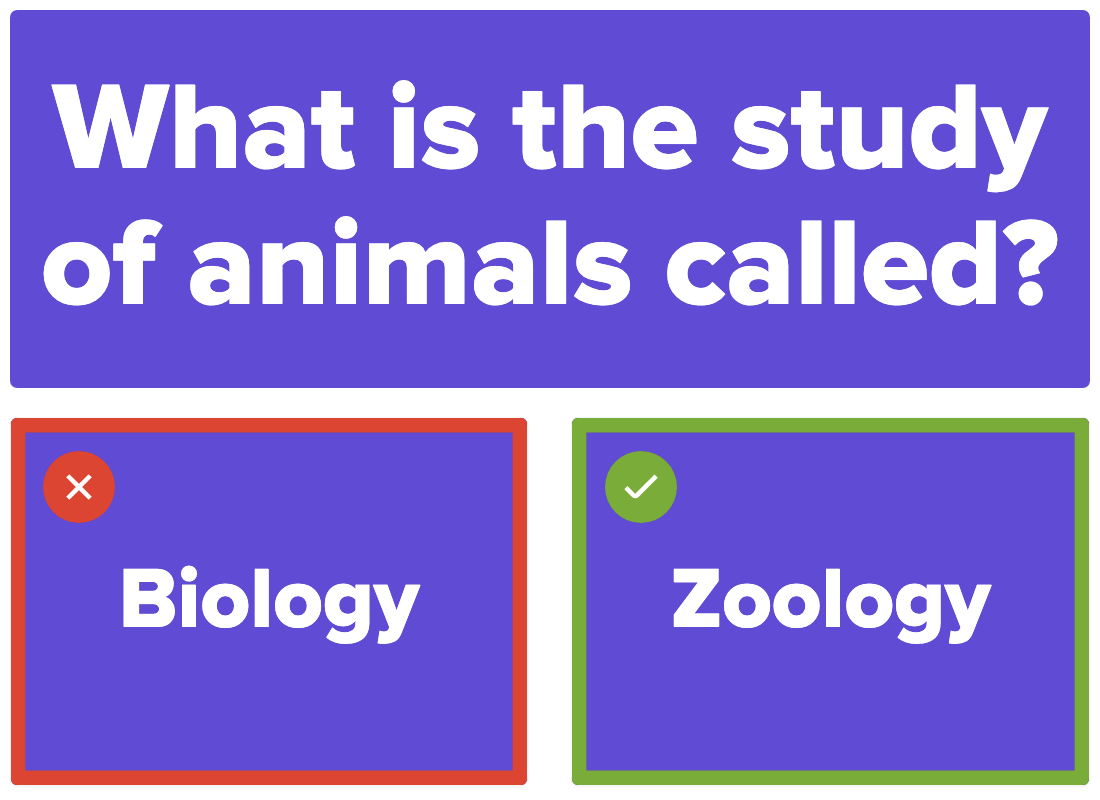 Image with the question "What is the study of animals called?" and two options: "Biology" with an X and "Zoology" with a checkmark