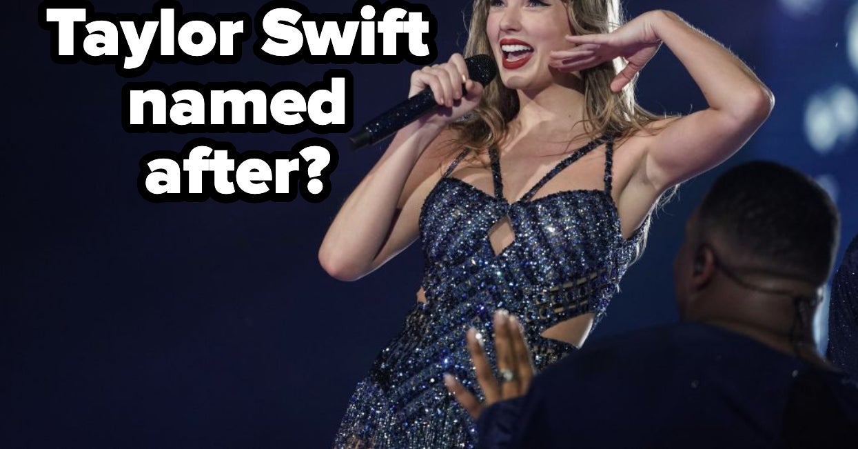 Swifty Trivia 56 Taylor Swift Trivia Questions And Answers For All You Cute Lil ...