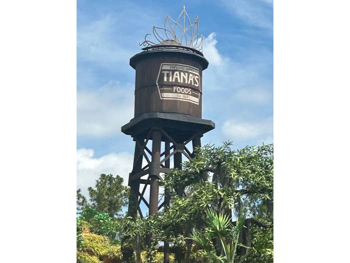 The image shows a large water tower with "Employee Owned Tiana's Foods Est. 1927" written on it, surrounded by greenery and trees under a clear sky