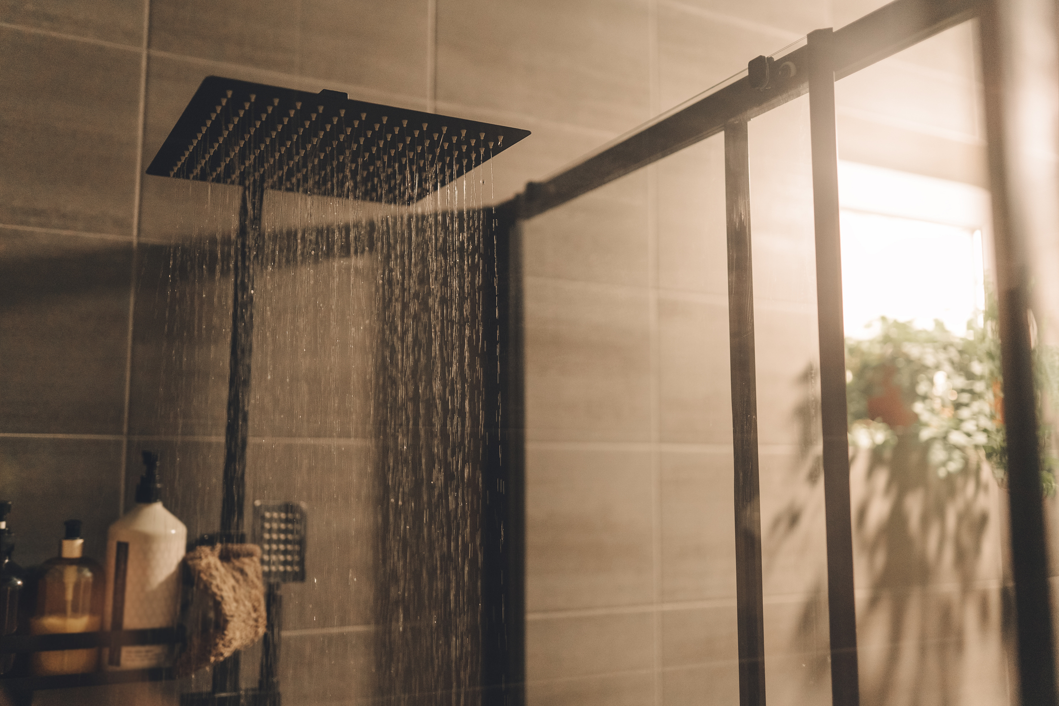 Water falling from a square showerhead in a modern bathroom, with a rack of bottles and a plant in the background