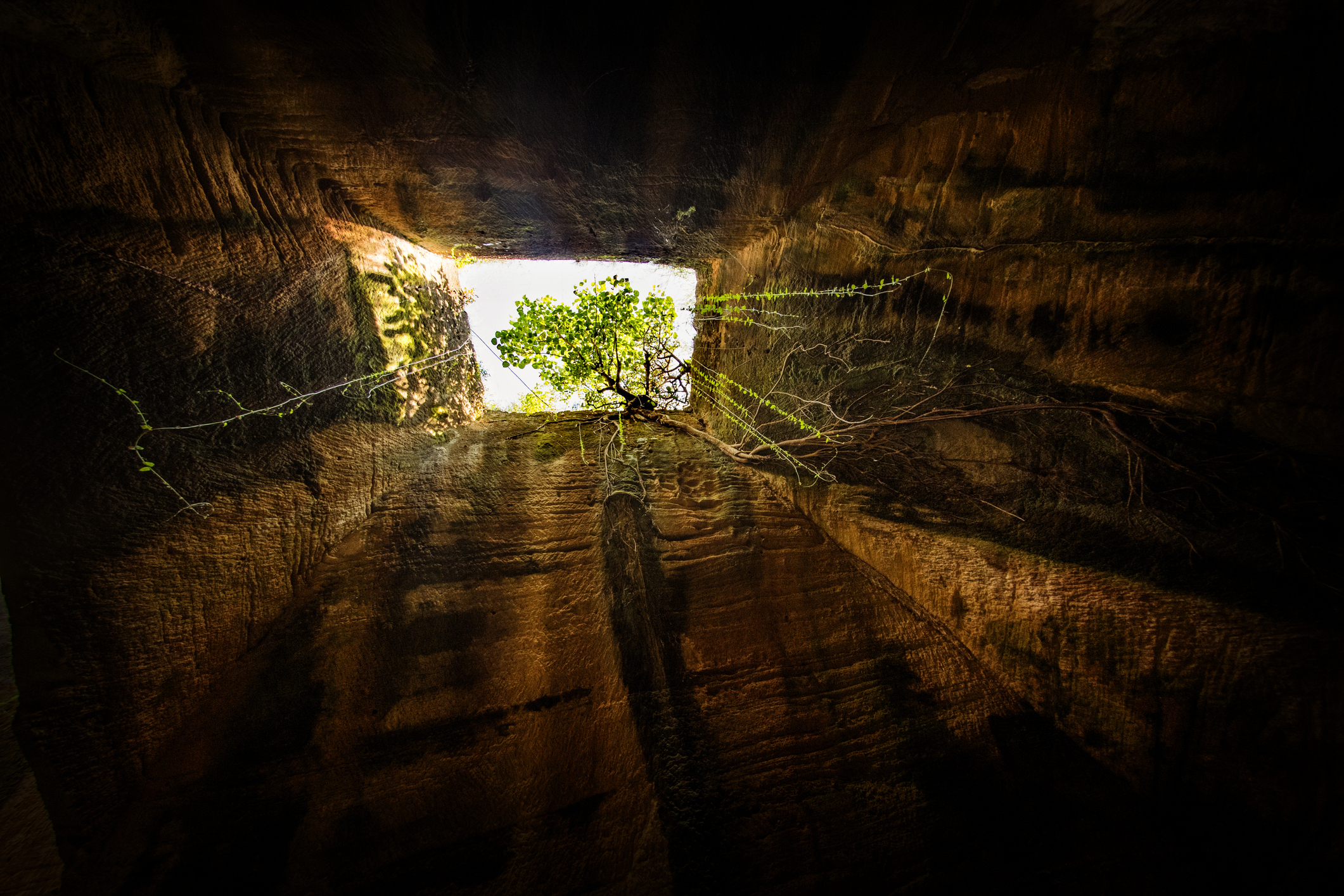 View from the bottom of a deep vertical cavern looking up towards a square opening with a small tree and vines hanging down
