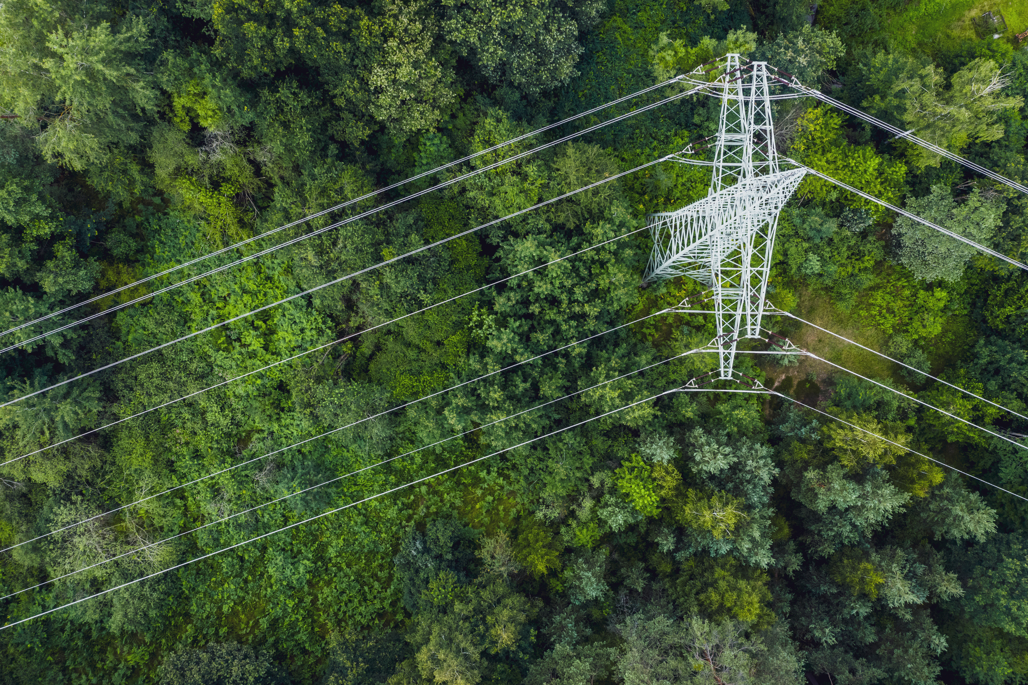 Aerial view of electrical power lines running through a dense forest