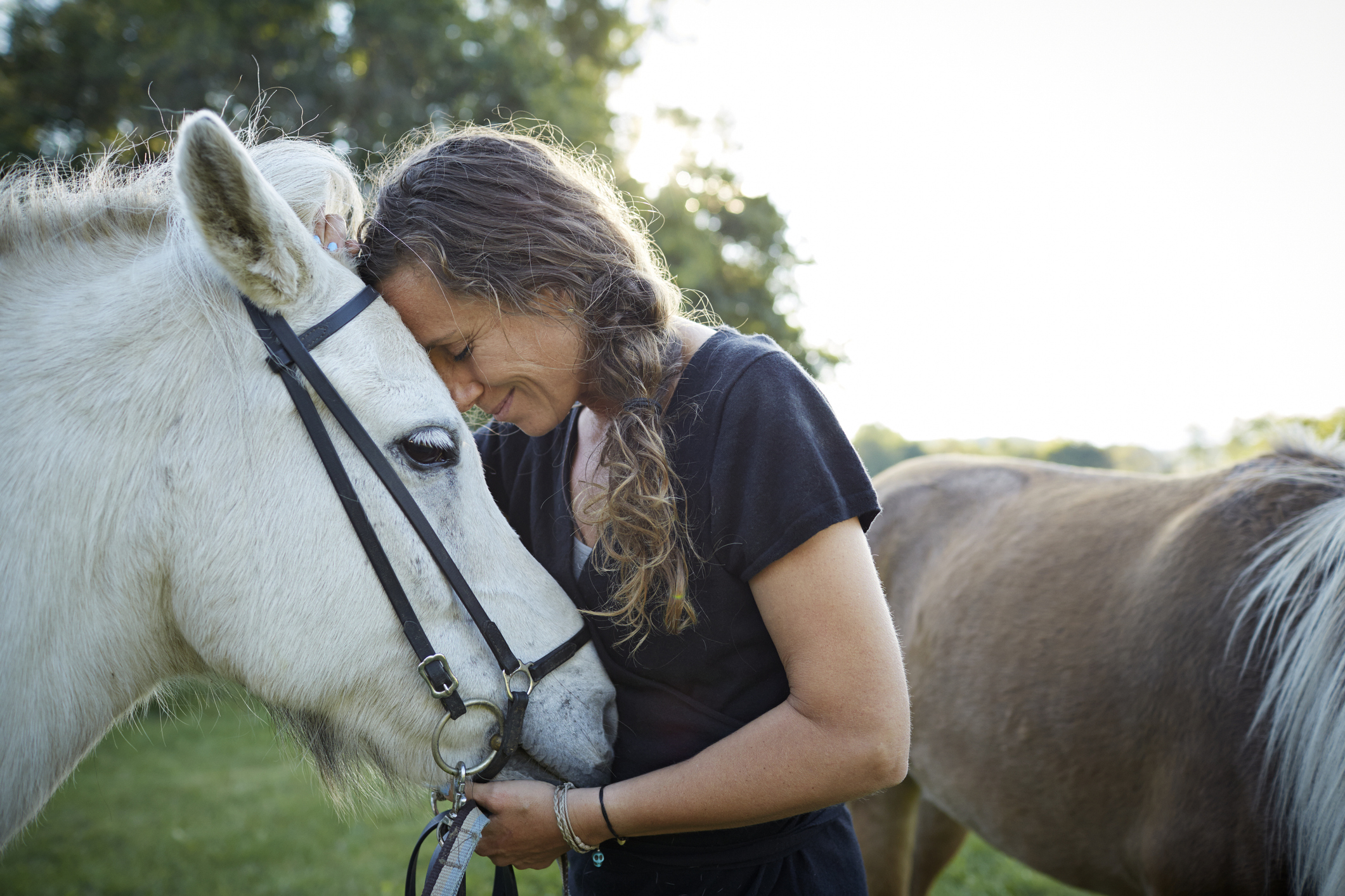A woman leans her forehead against a white horse, affectionately holding the bridle. Another horse stands in the background