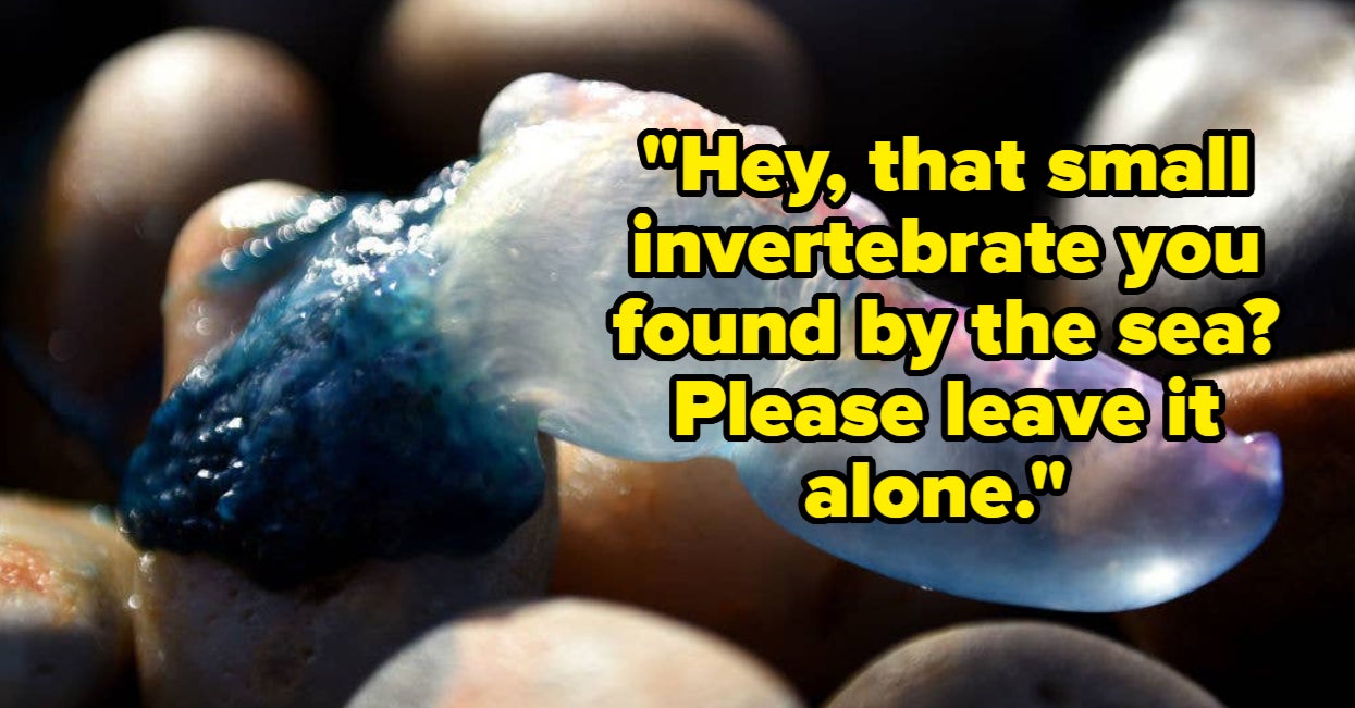 22 Things People Don't Realise Can Kill You In Seconds