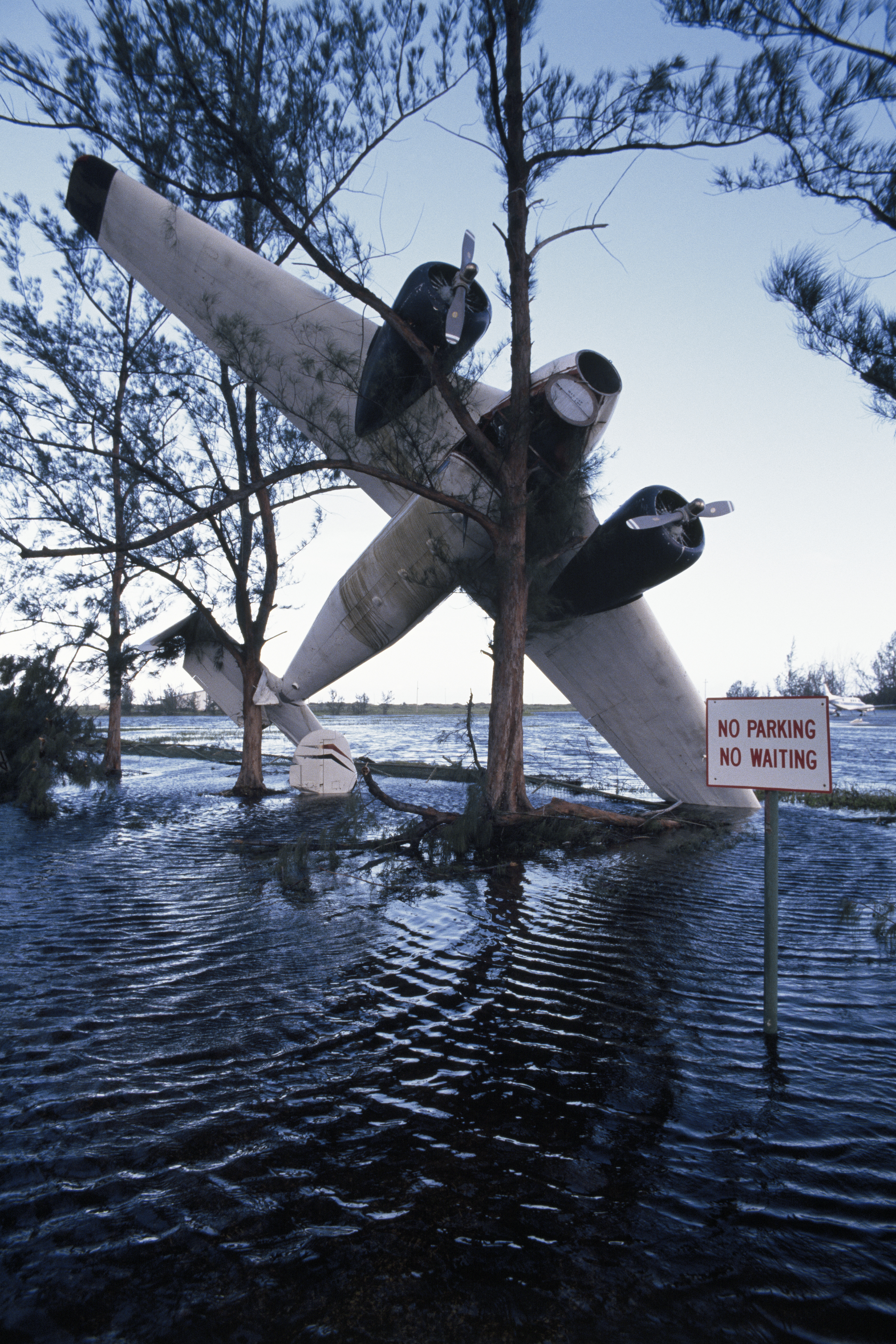 Partial plane crash beside a tree in a waterlogged area with a &quot;No Parking No Waiting&quot; sign in the foreground