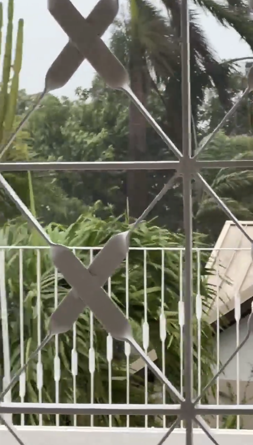 View through a window with a geometric pattern, showing lush greenery, trees, and parts of a building outside