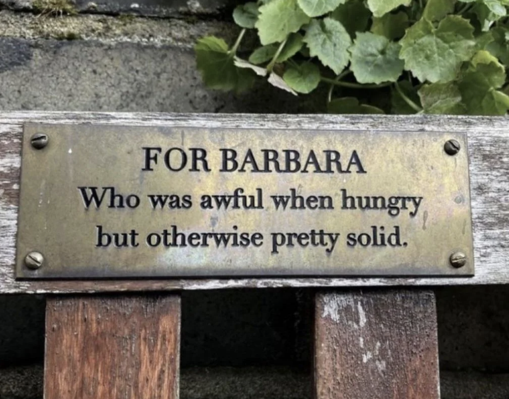 Plaque on a bench reads: "FOR BARBARA, Who was awful when hungry but otherwise pretty solid."