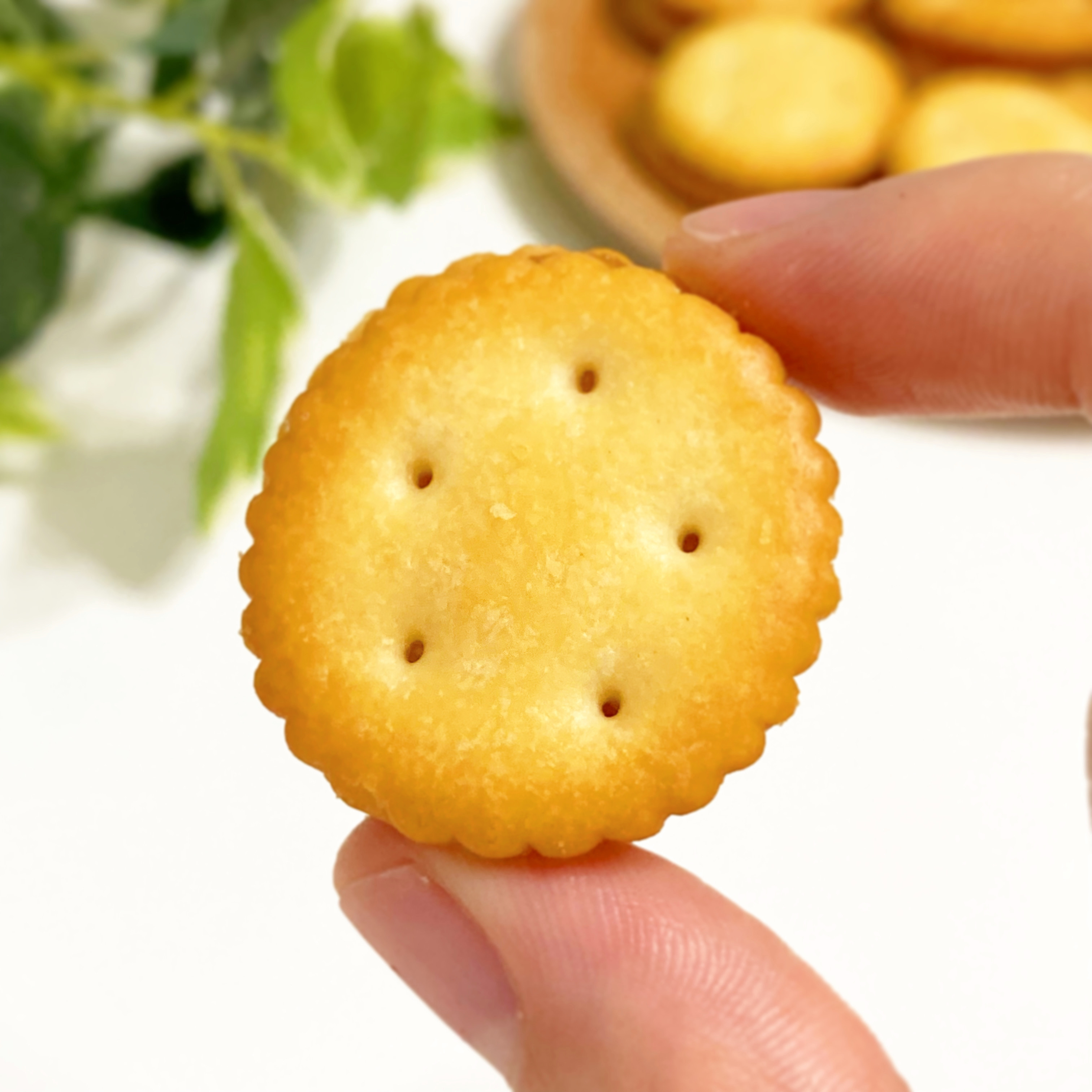 無印良品の期間限定商品「無選別レモンジャムサンドクラッカー」