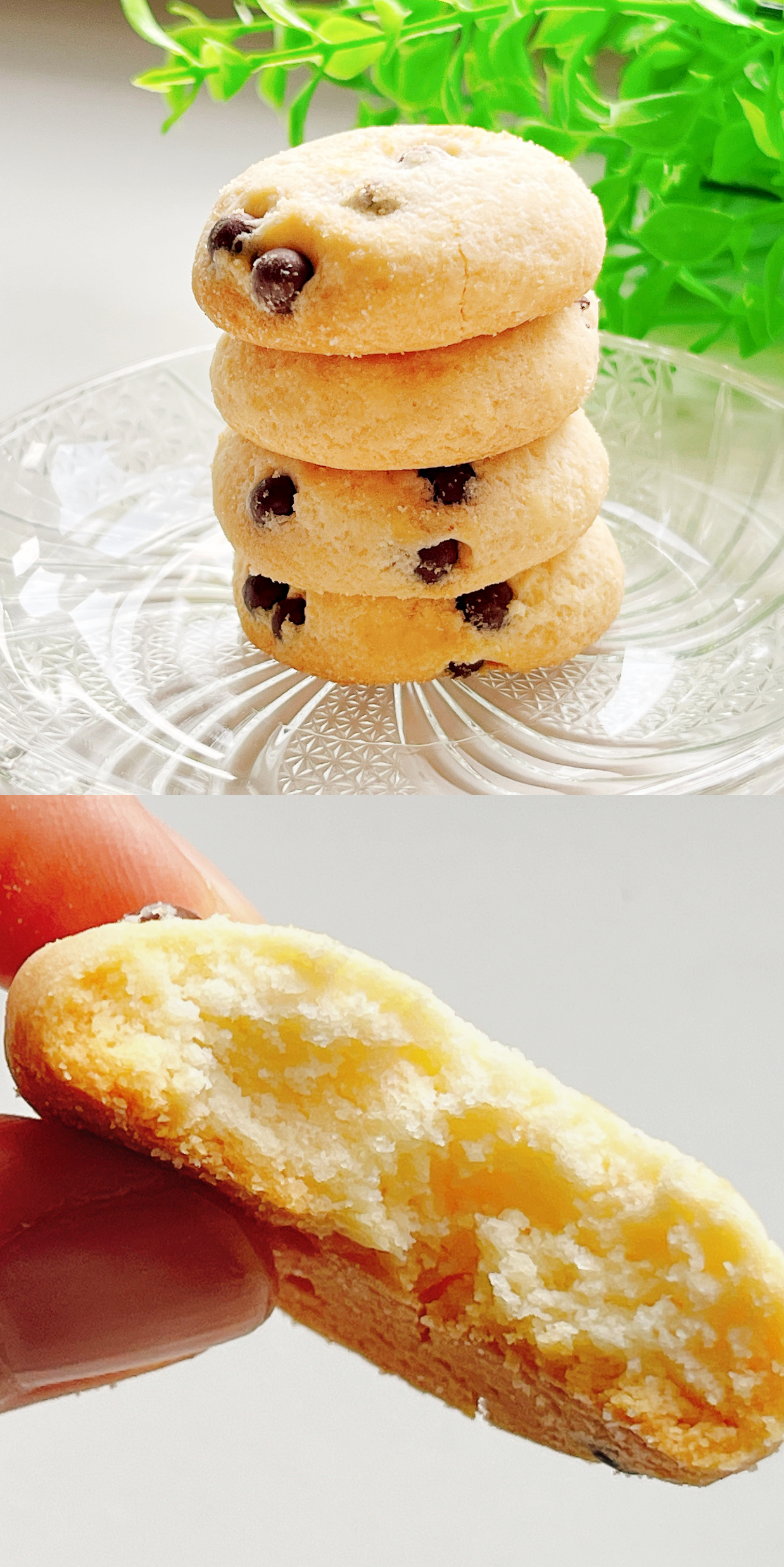 東京ディズニーランドのおすすめお土産「チョコチップクッキー袋 101匹わんちゃん」