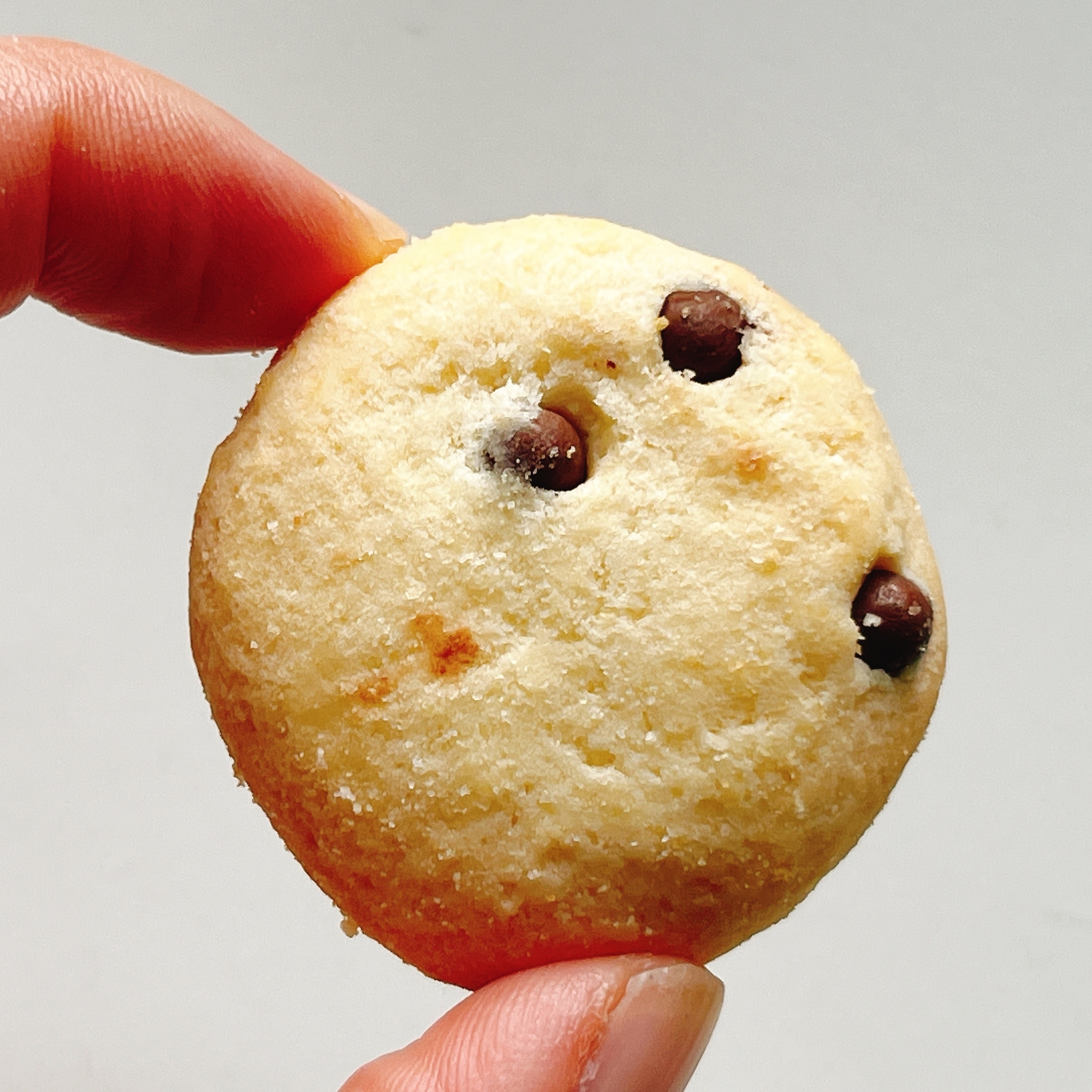 東京ディズニーランドのおすすめお土産「チョコチップクッキー袋 101匹わんちゃん」