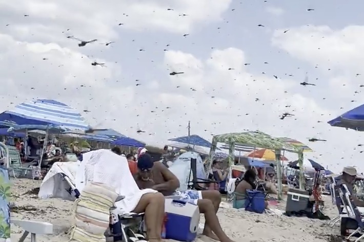 多数の人々がビーチでくつろいでいる中、空には多数の飛行機が飛んでいます。