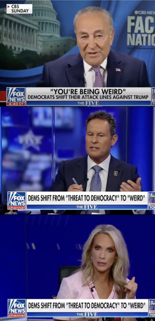 Senator Chuck Schumer discusses politics on CBS Sunday. Commentary by Brian Kilmeade and Dana Perino follows on a Fox News segment