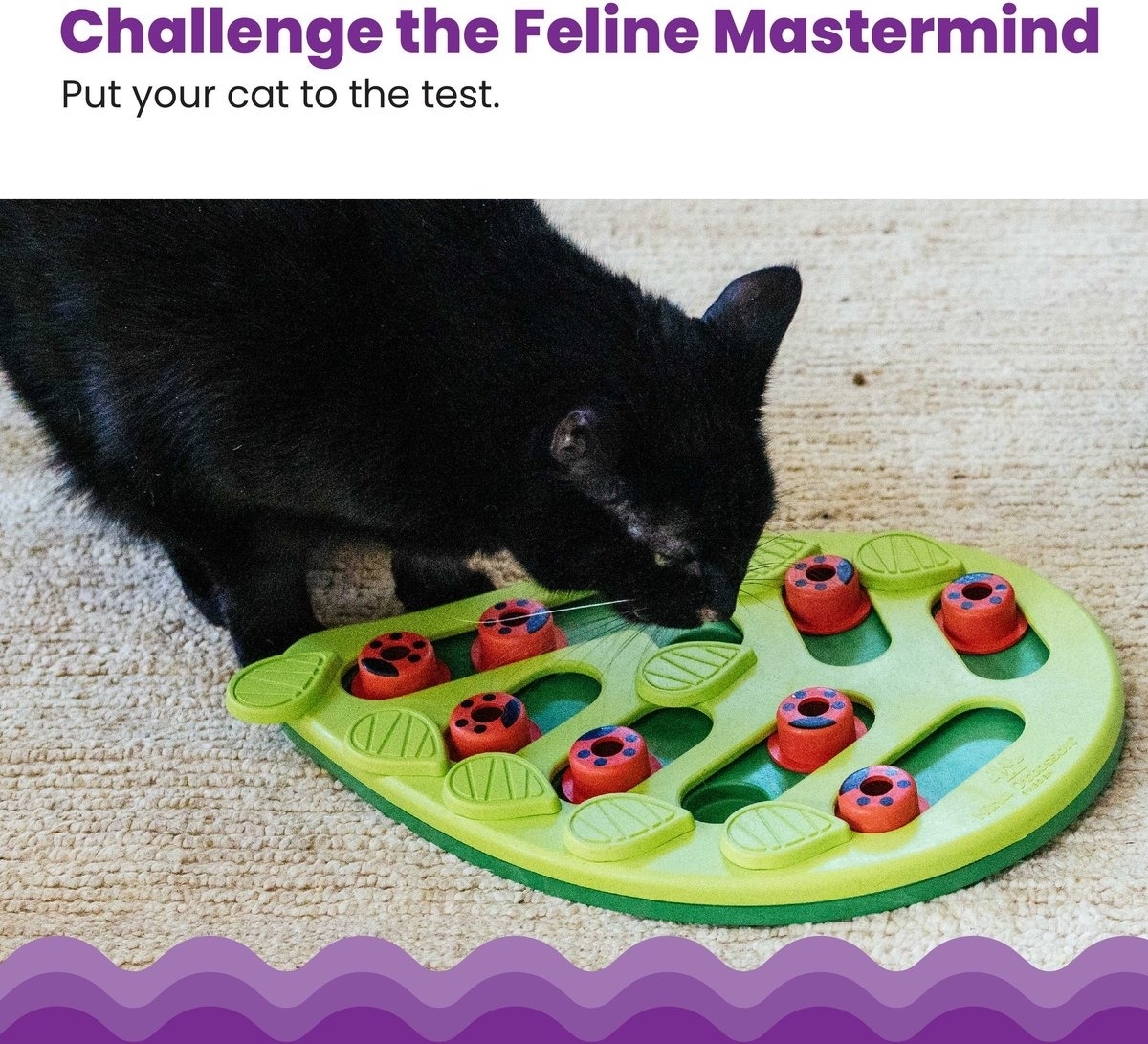 22 Best Cat Toys For Bored Cats In 2024