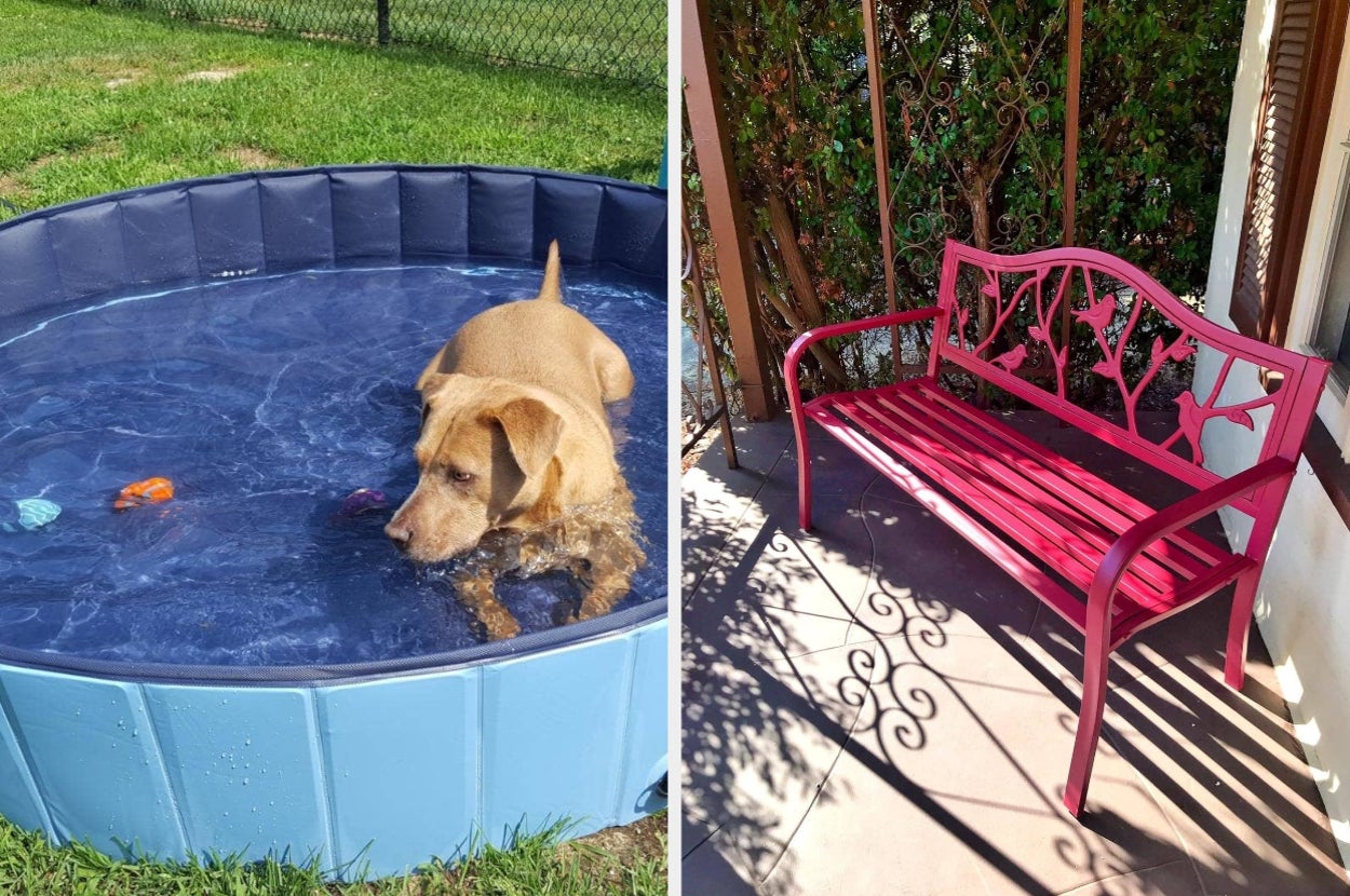 A dog is in a small kiddie pool on the left, and a decorative pink bench is on the right